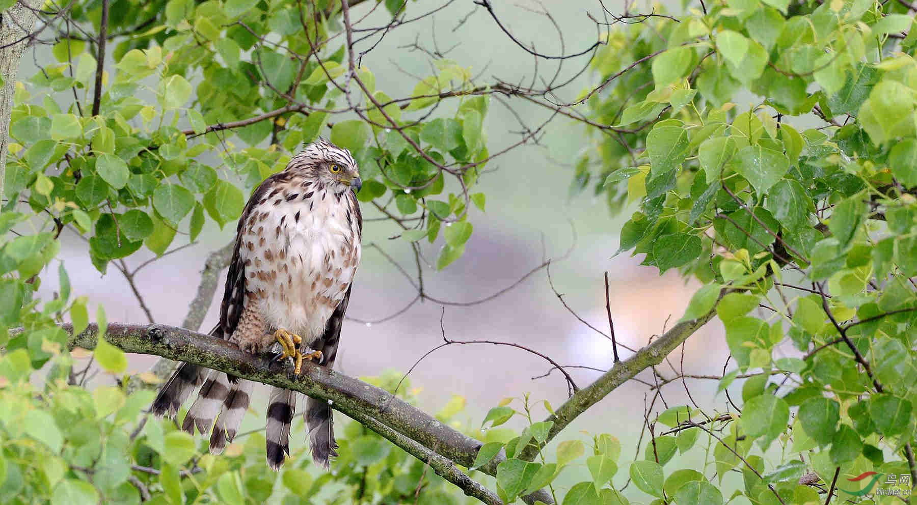 DSC_8494.JPG