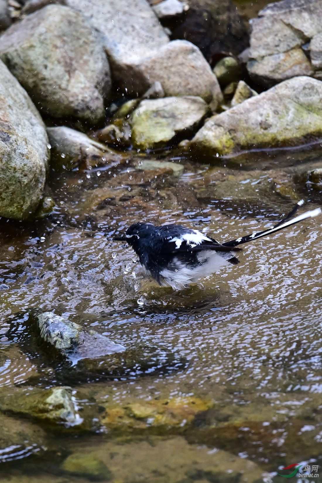 DSC_0998.JPG