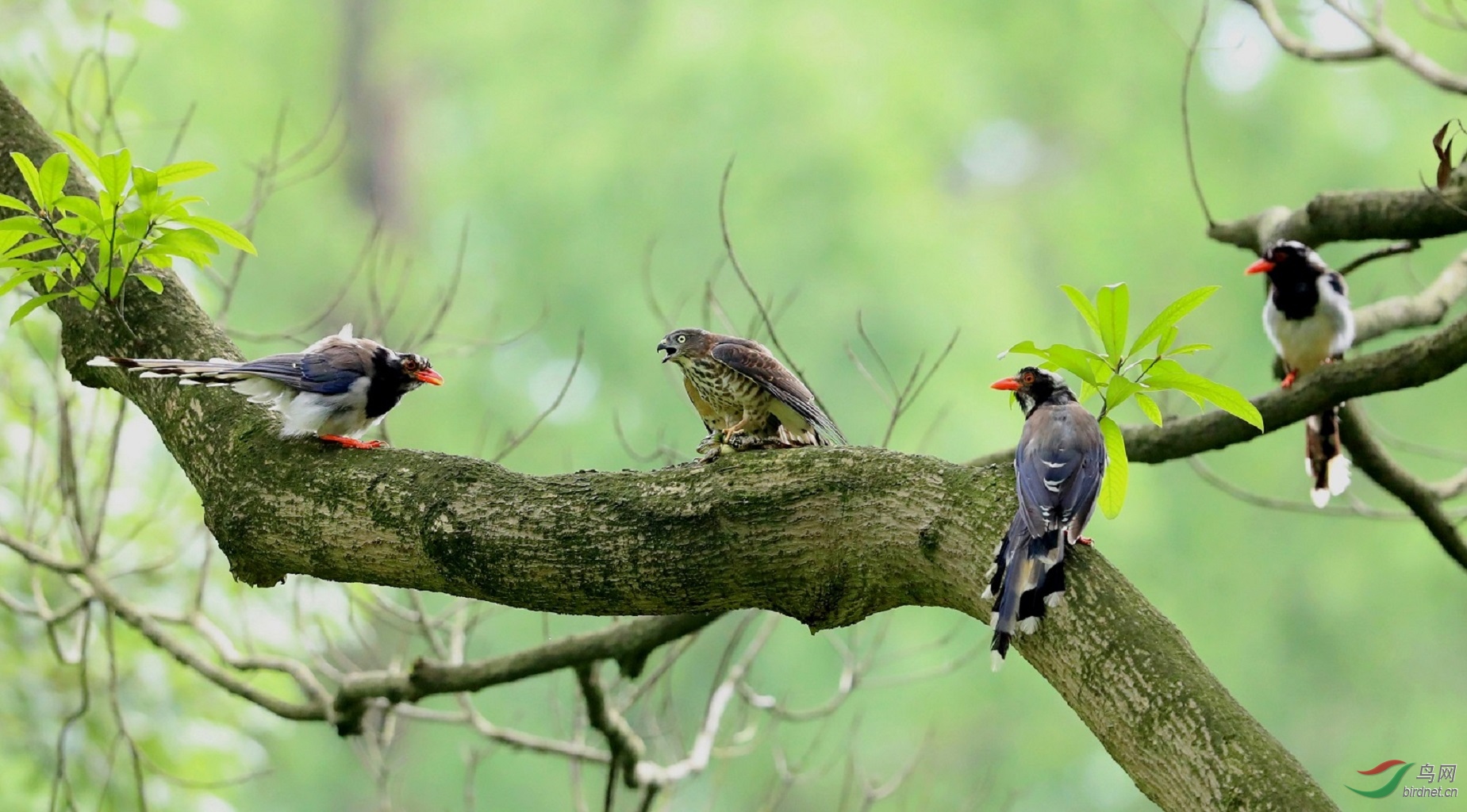 A15I0461 - ����.JPG