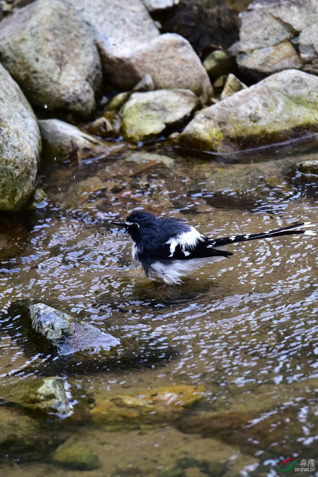 DSC_0999.JPG