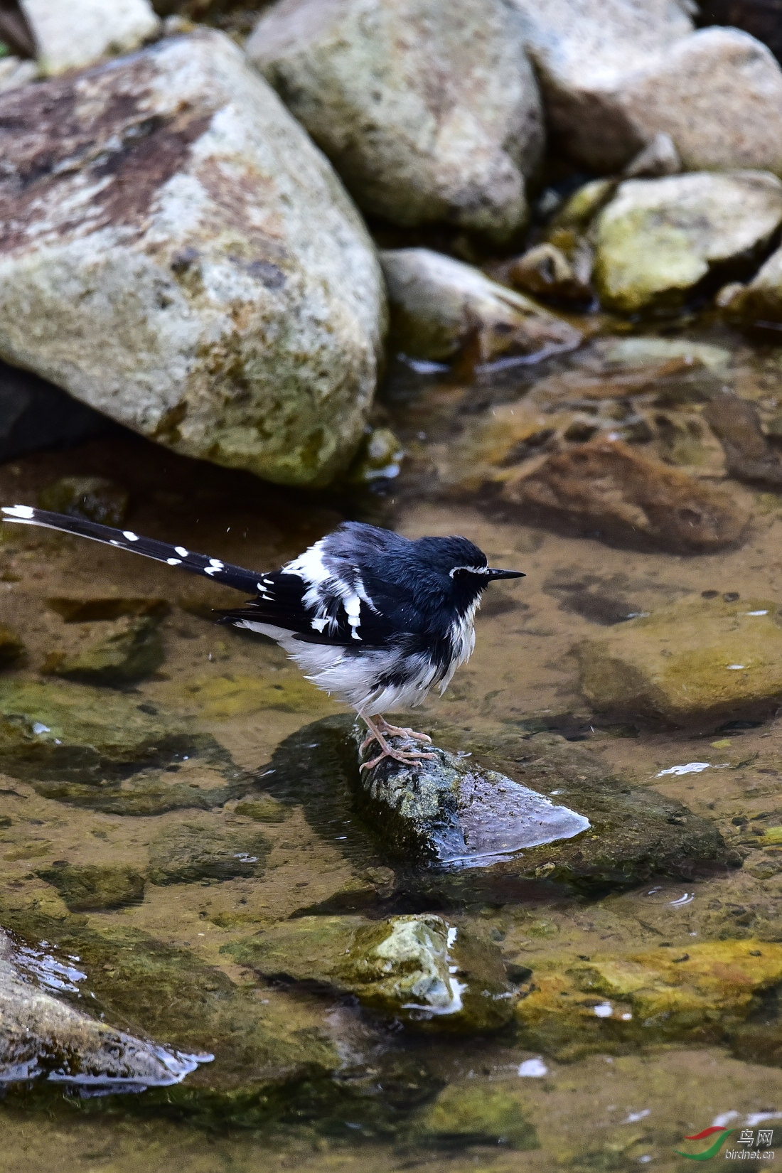 DSC_1000.JPG
