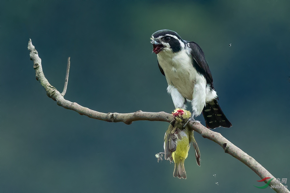 EOS 7D Mark II0007256.jpg