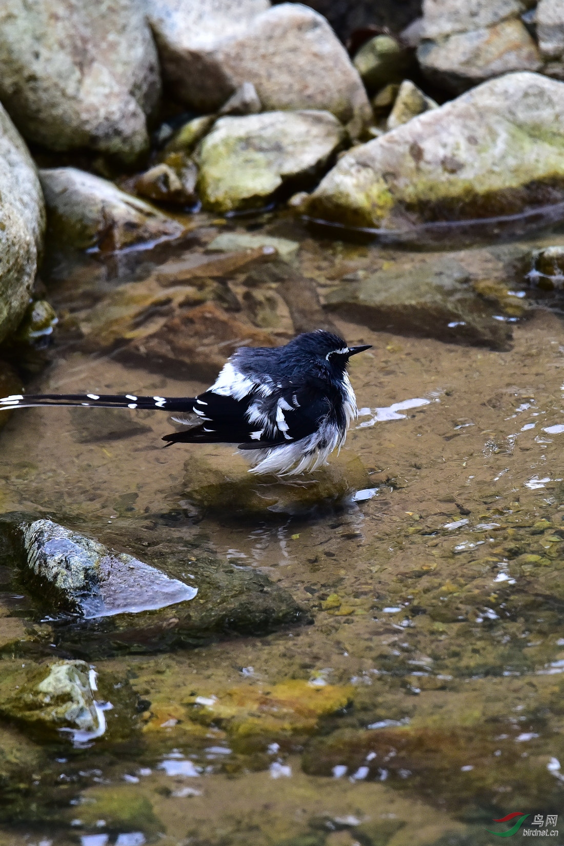 DSC_1005.JPG