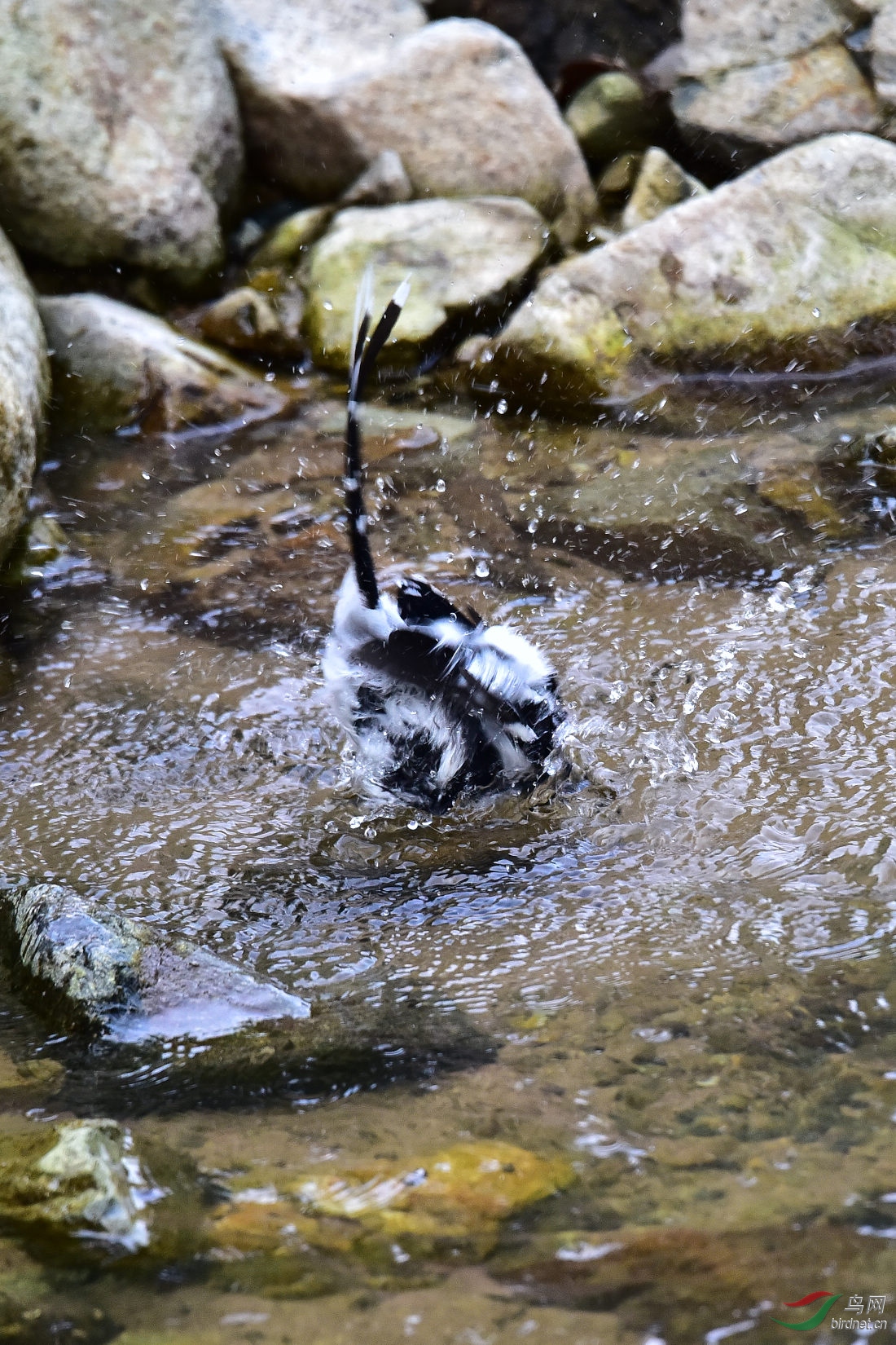 DSC_1007.JPG