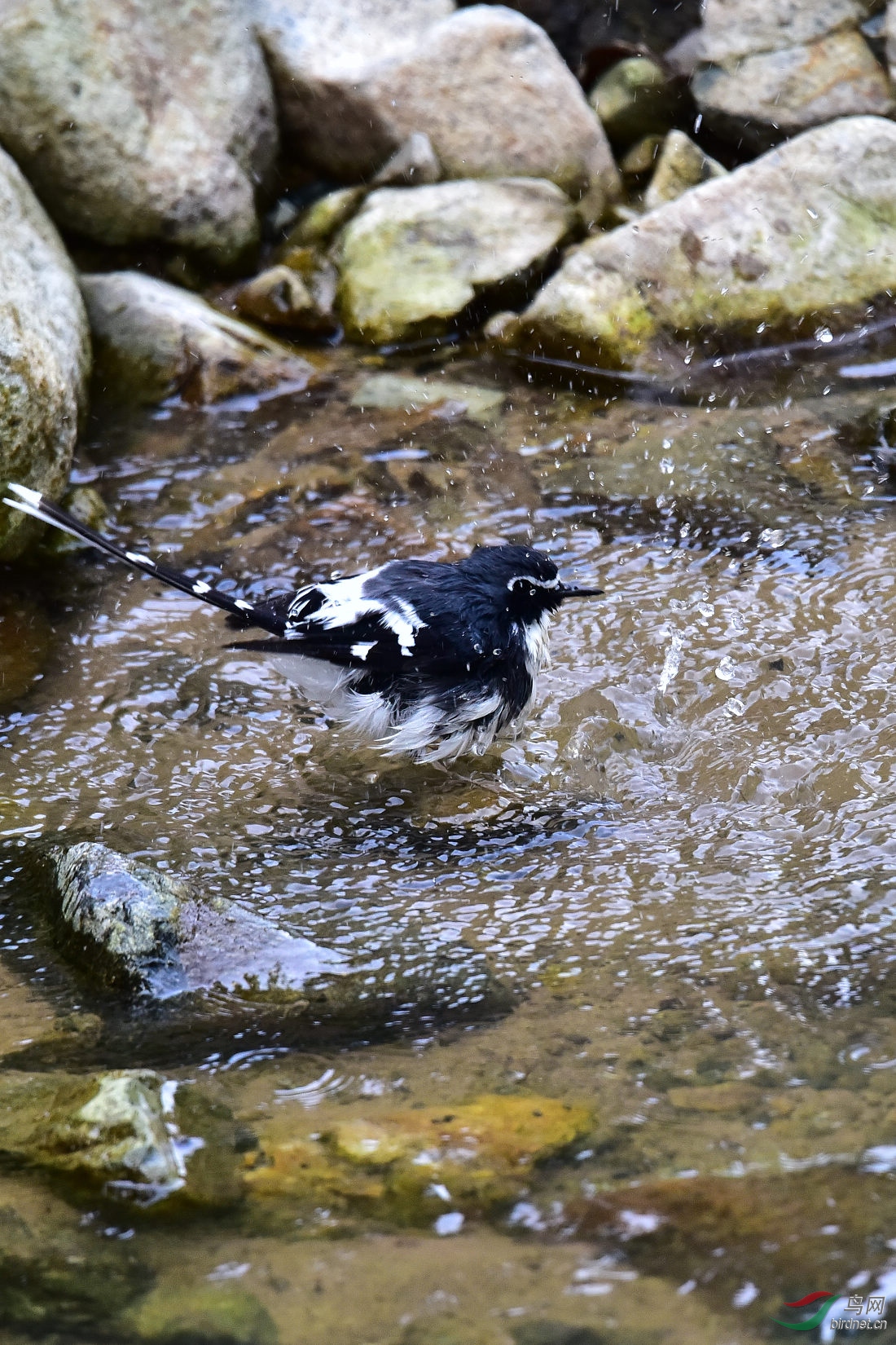 DSC_1008.JPG
