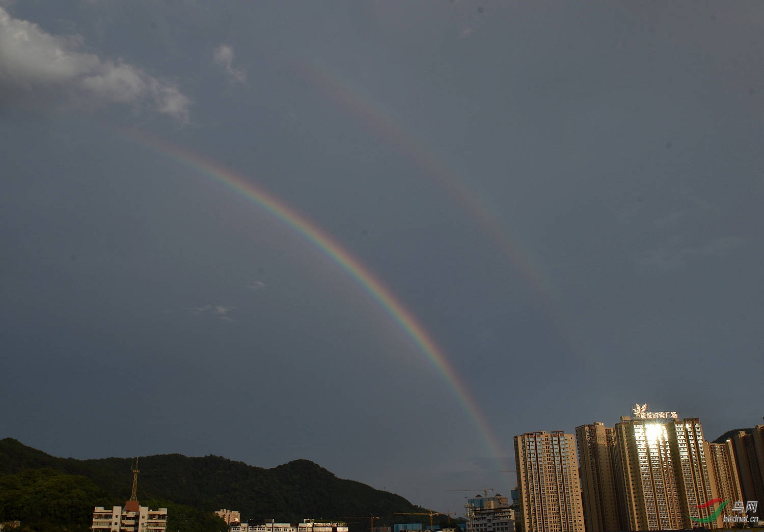 D8I_5402.jpg