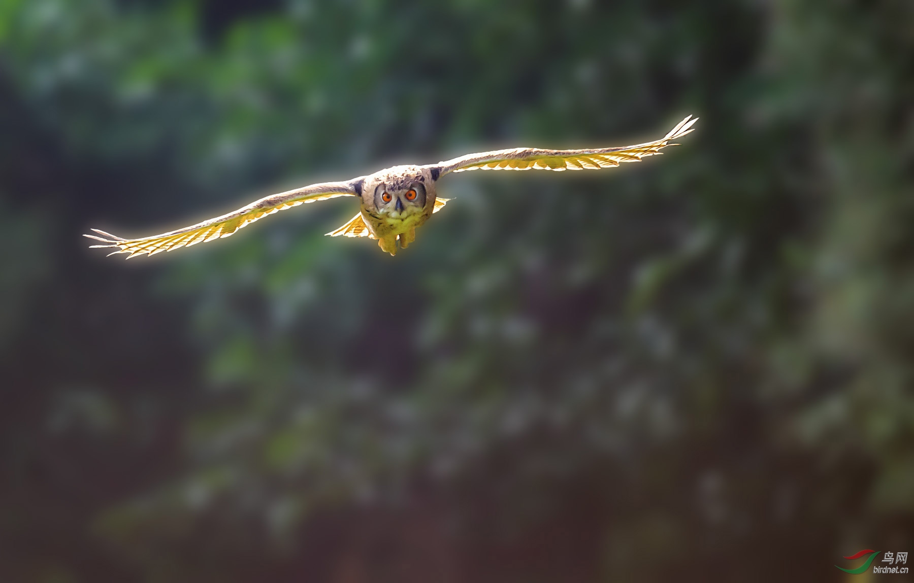 _DSC8644.jpgps3_����.jpg