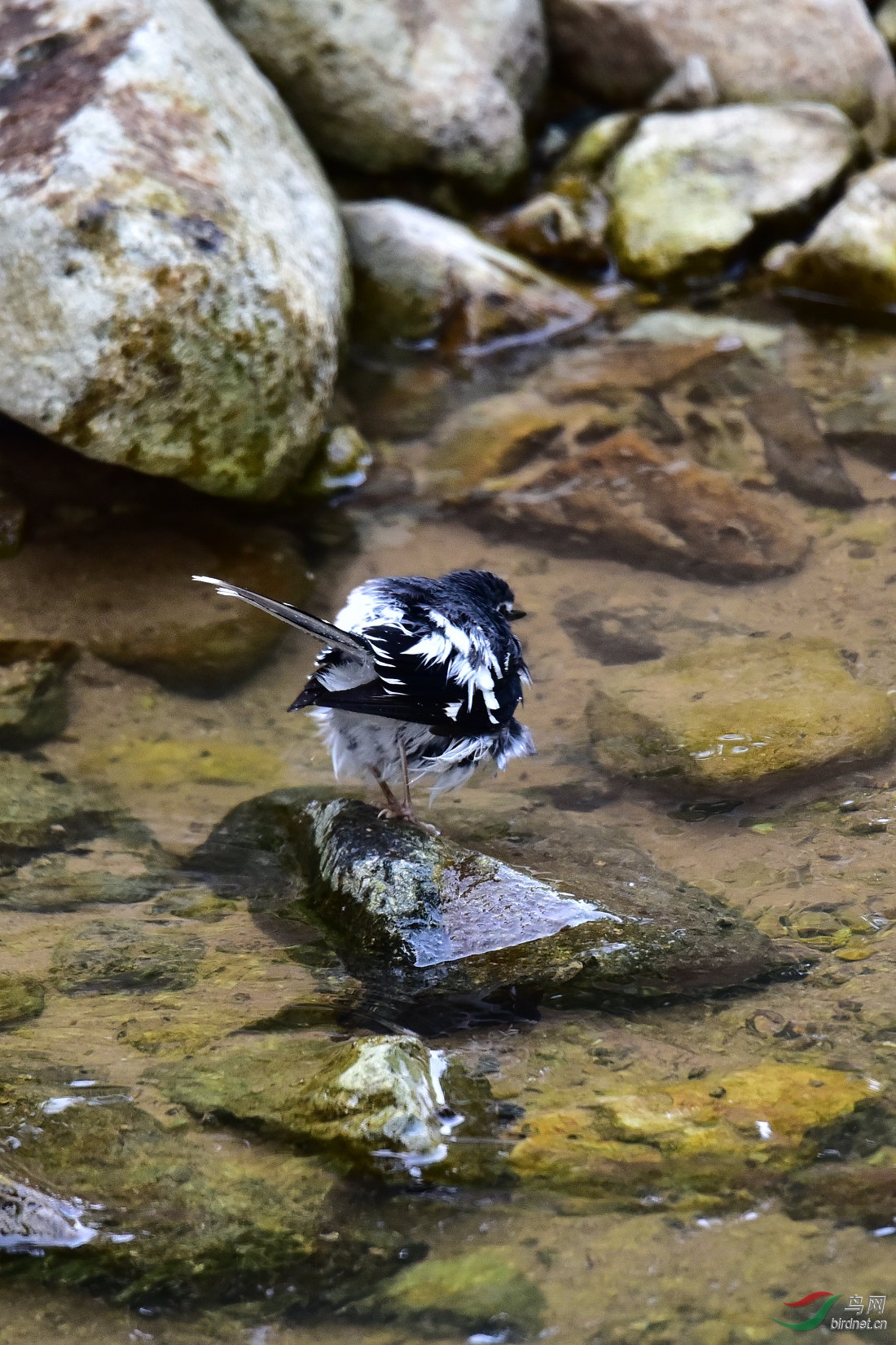 DSC_1011.JPG