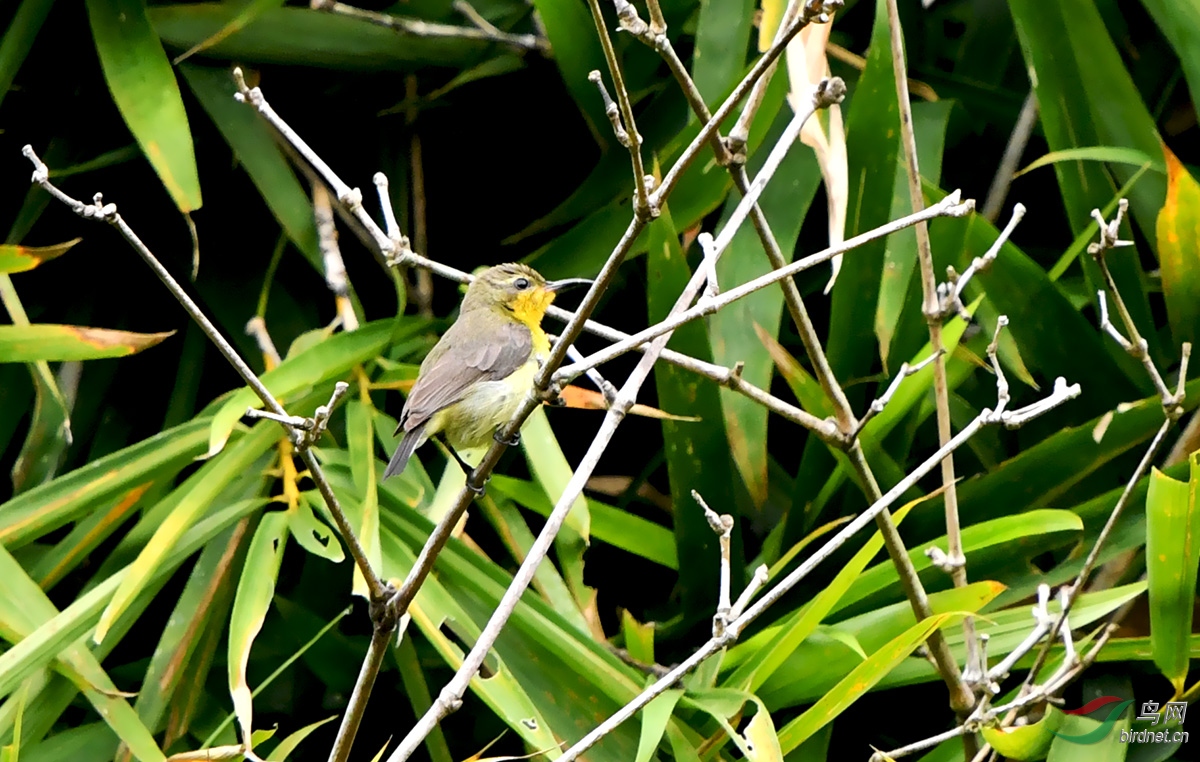 DSC_7829 ����.jpg