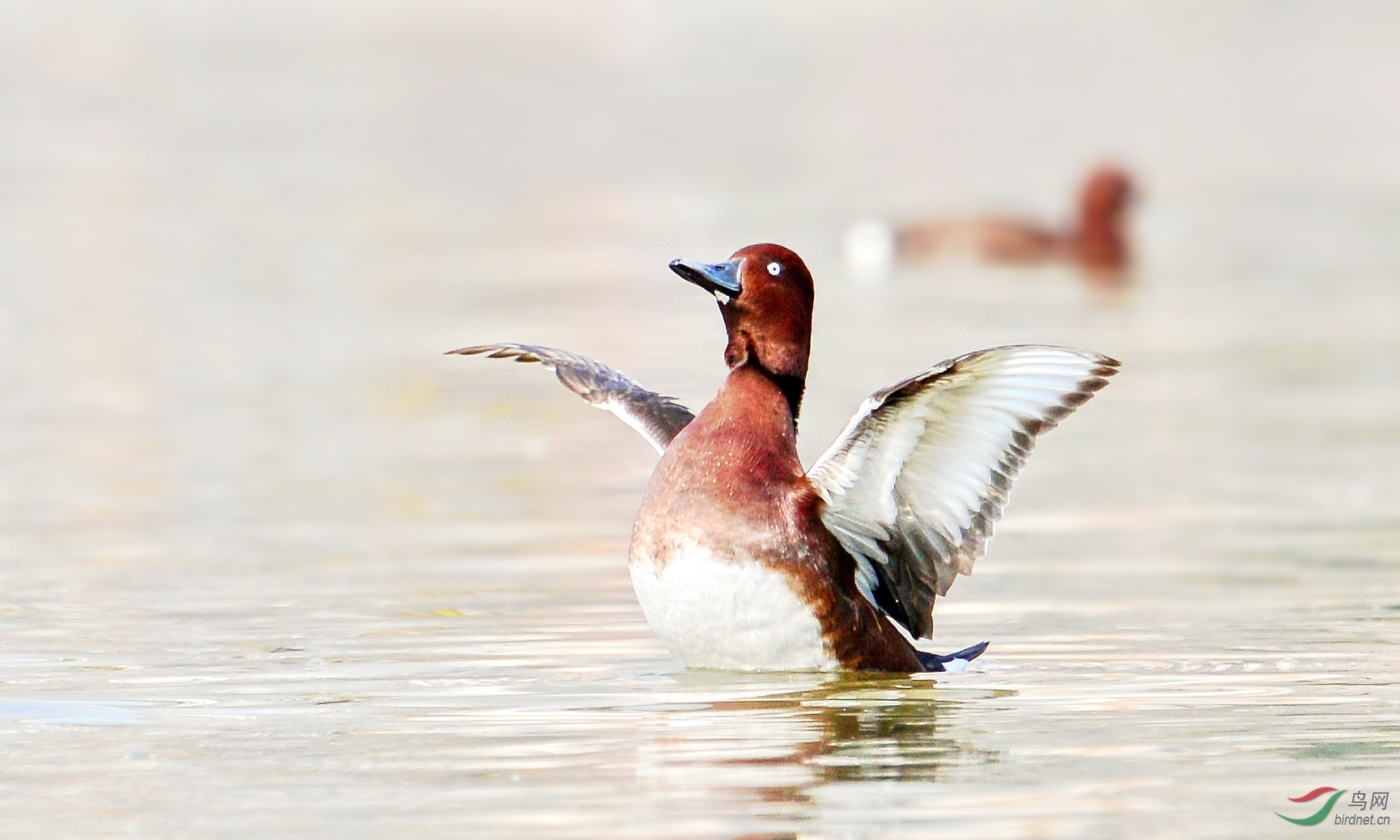 DSC_8923_conew3.jpg