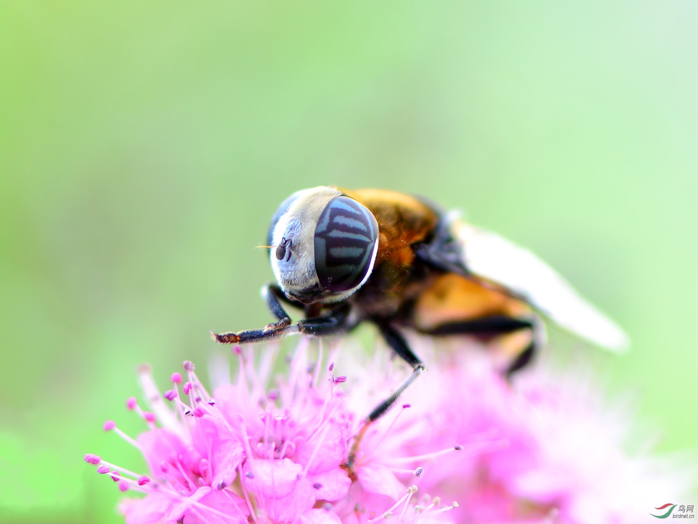 DSC_9379_conew2.jpg