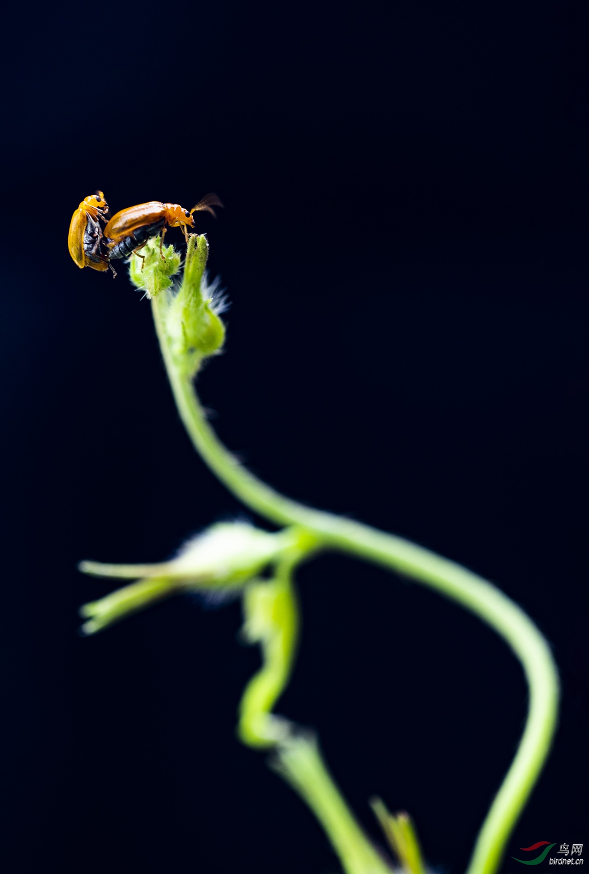 C13A2224a3.jpg