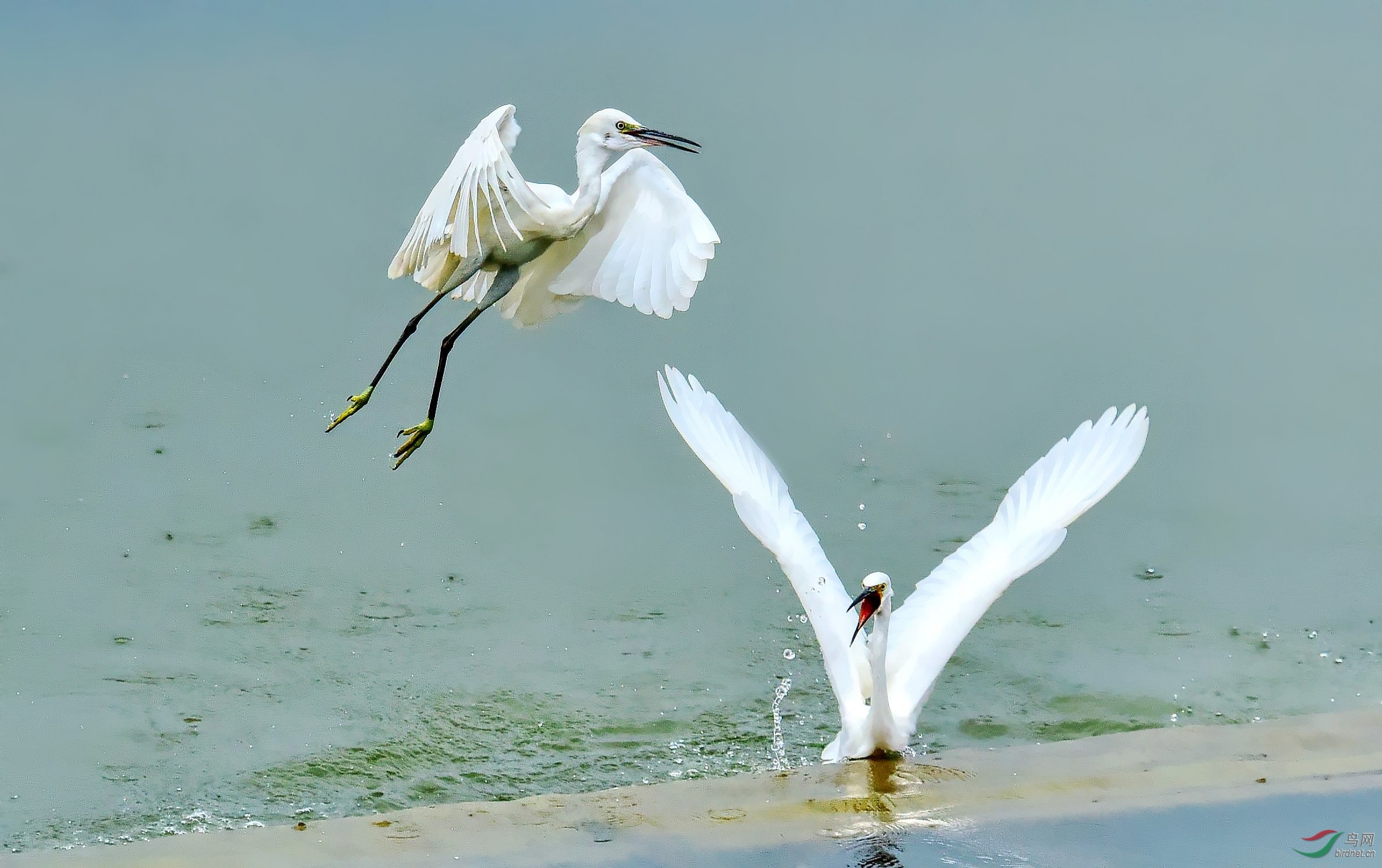 DSC_8361_conew4.jpg