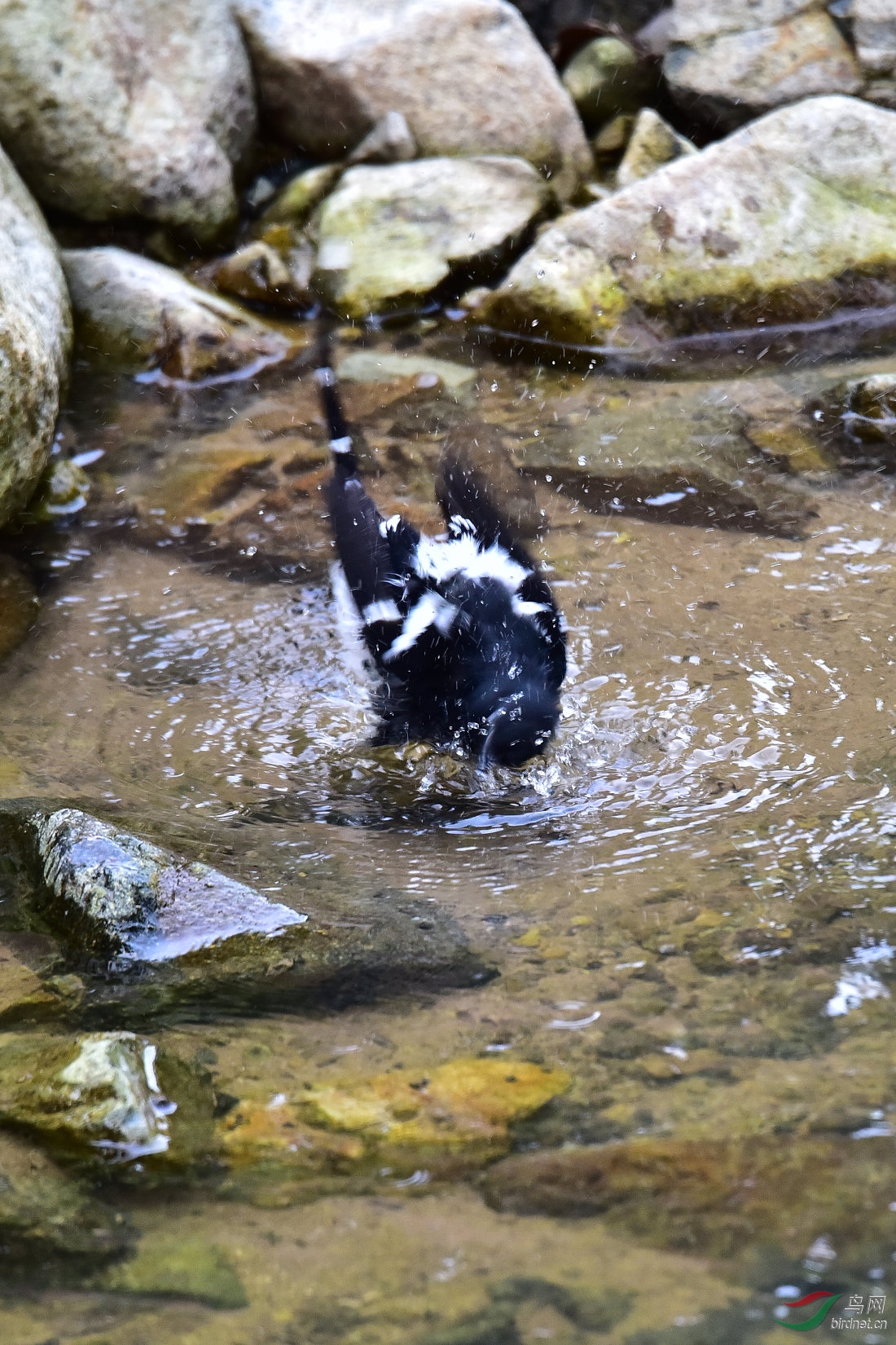 DSC_1013.JPG