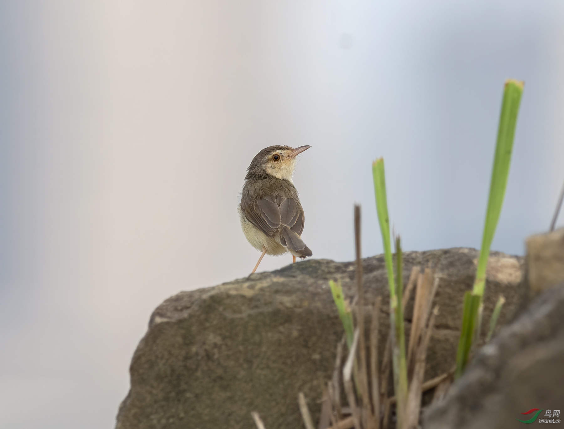 DSC_2856.jpg