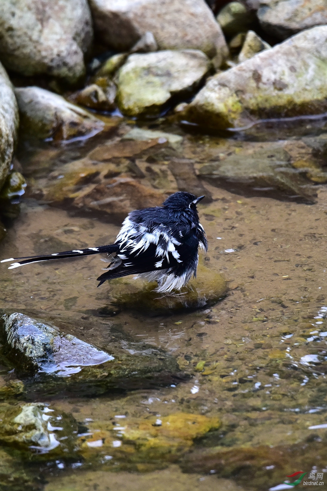 DSC_1016.JPG
