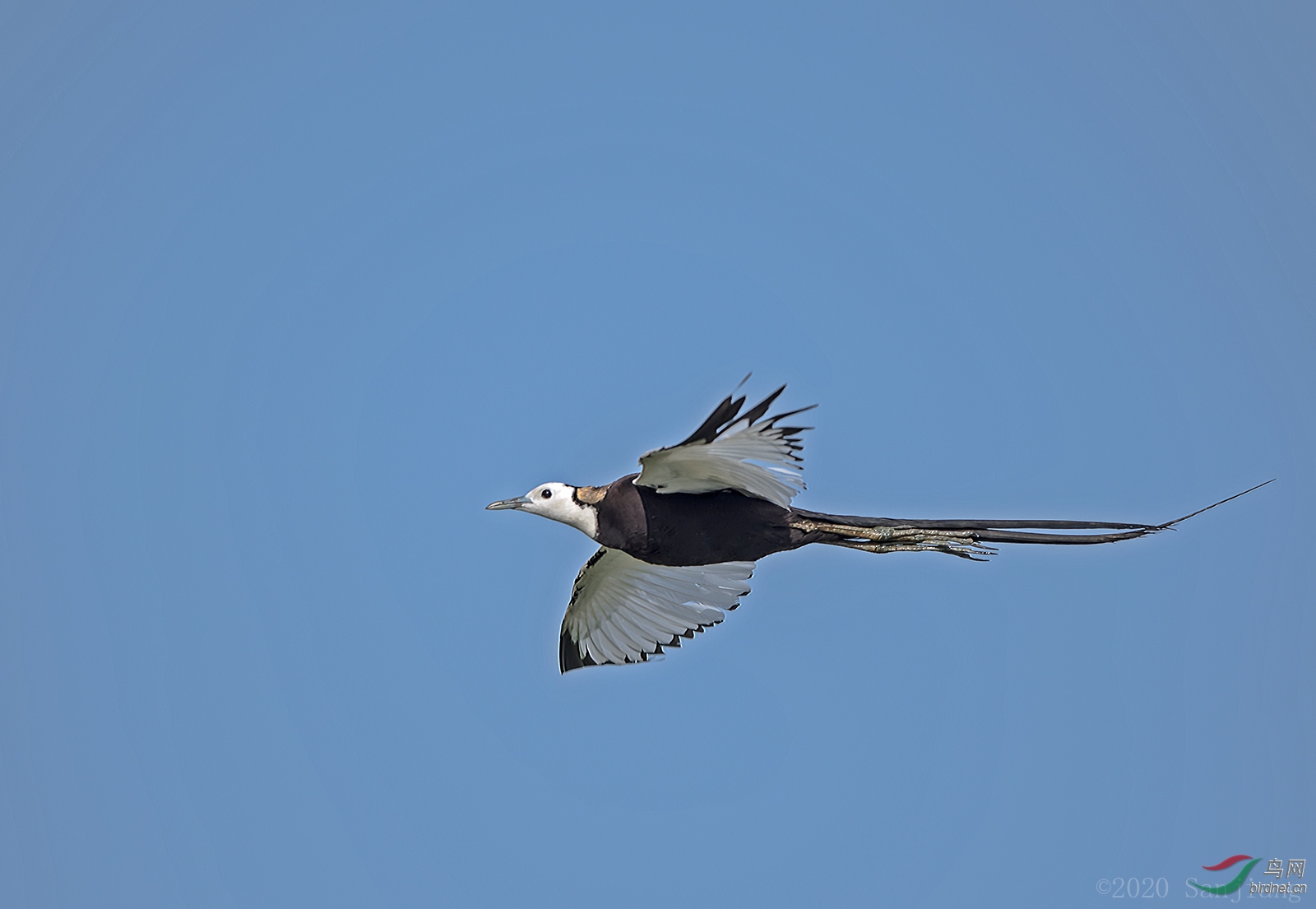 DSC_77040.jpg