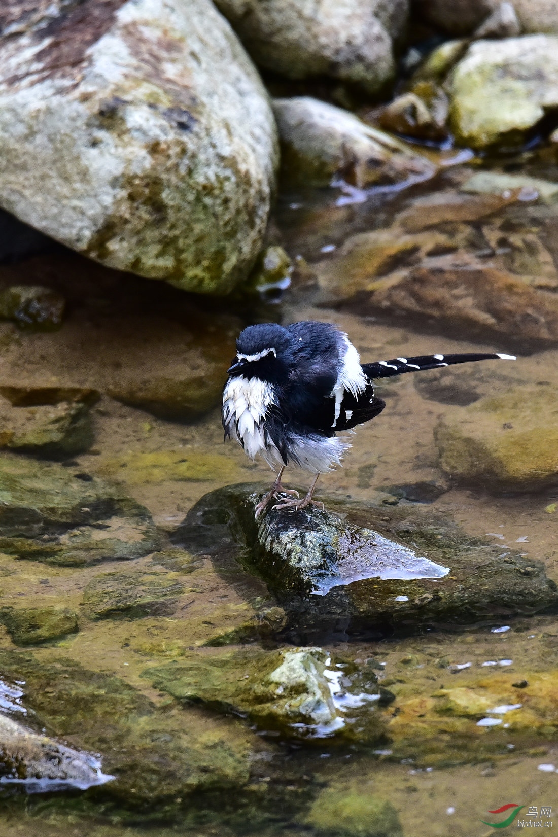 DSC_1017.JPG