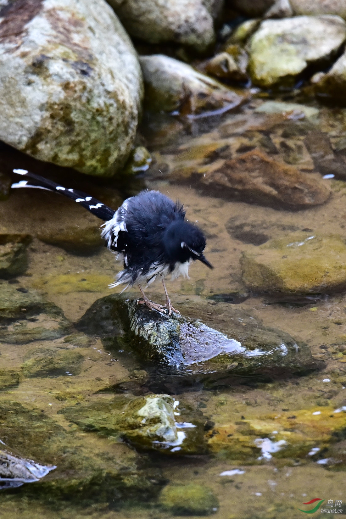DSC_1018.JPG