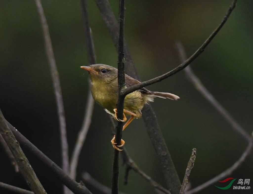DSC_6216.jpg