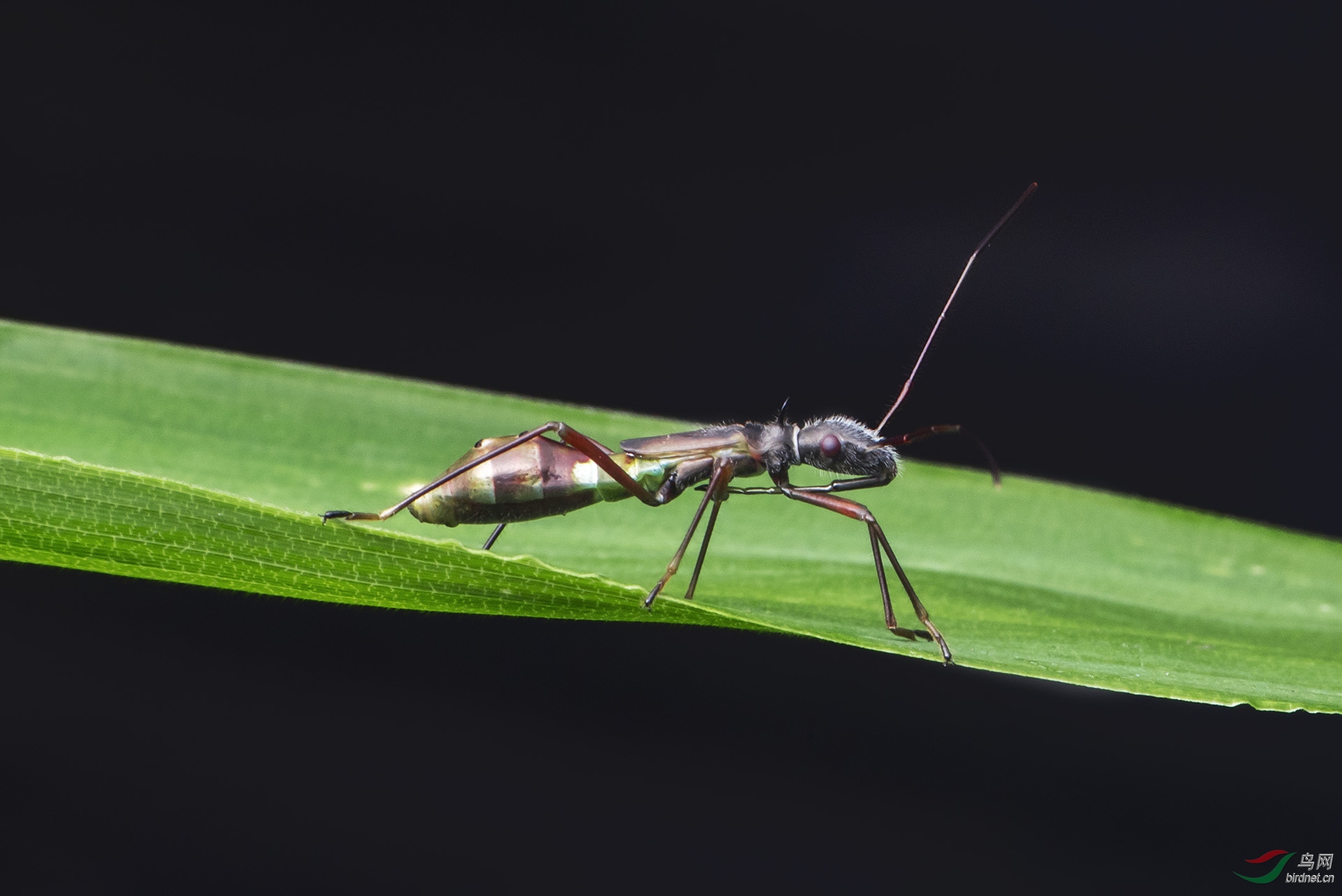 DSC_6310.jpg