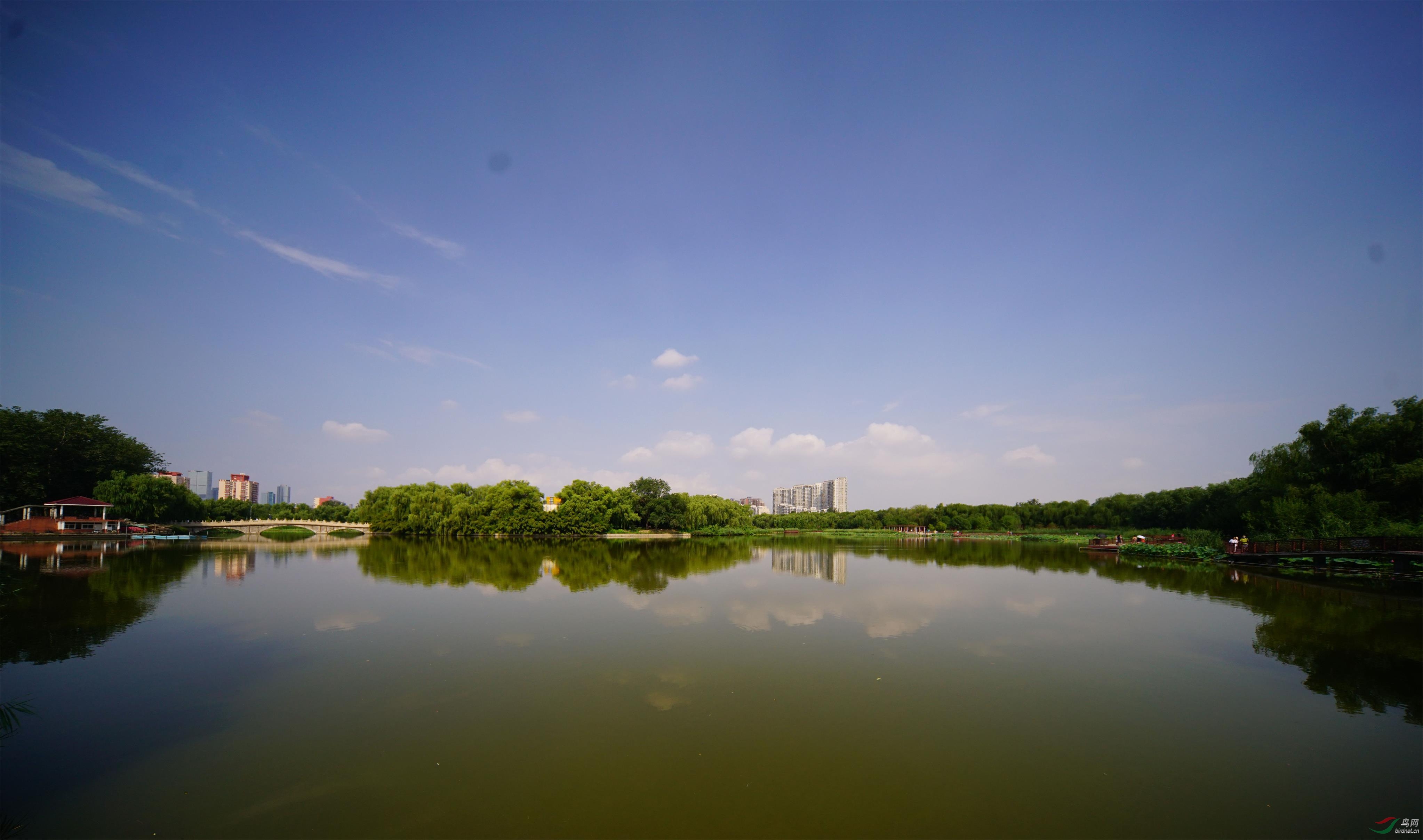 DSC05936-01_��ͼ��.jpg