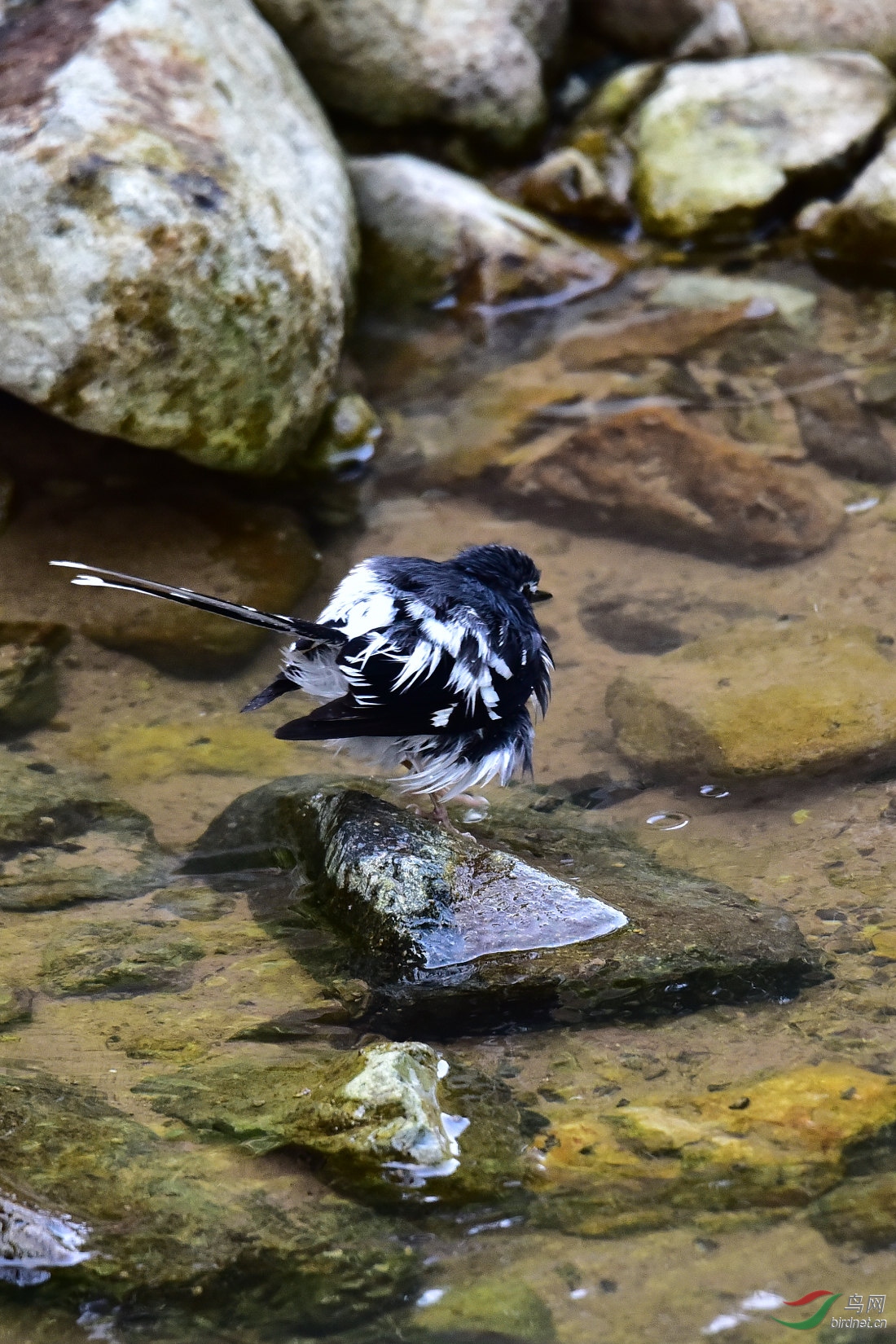 DSC_1019.JPG