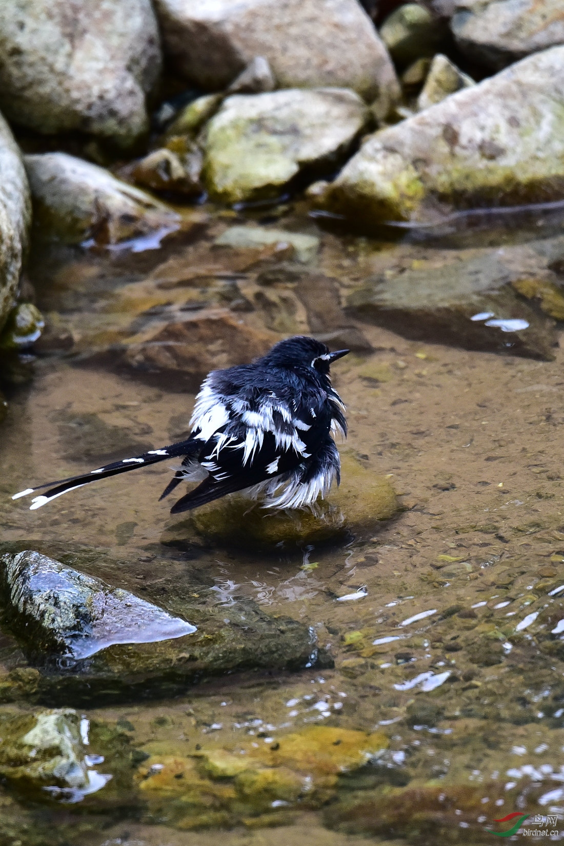DSC_1020.JPG