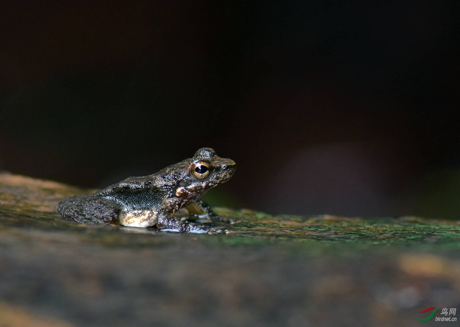 D72_7078.jpg