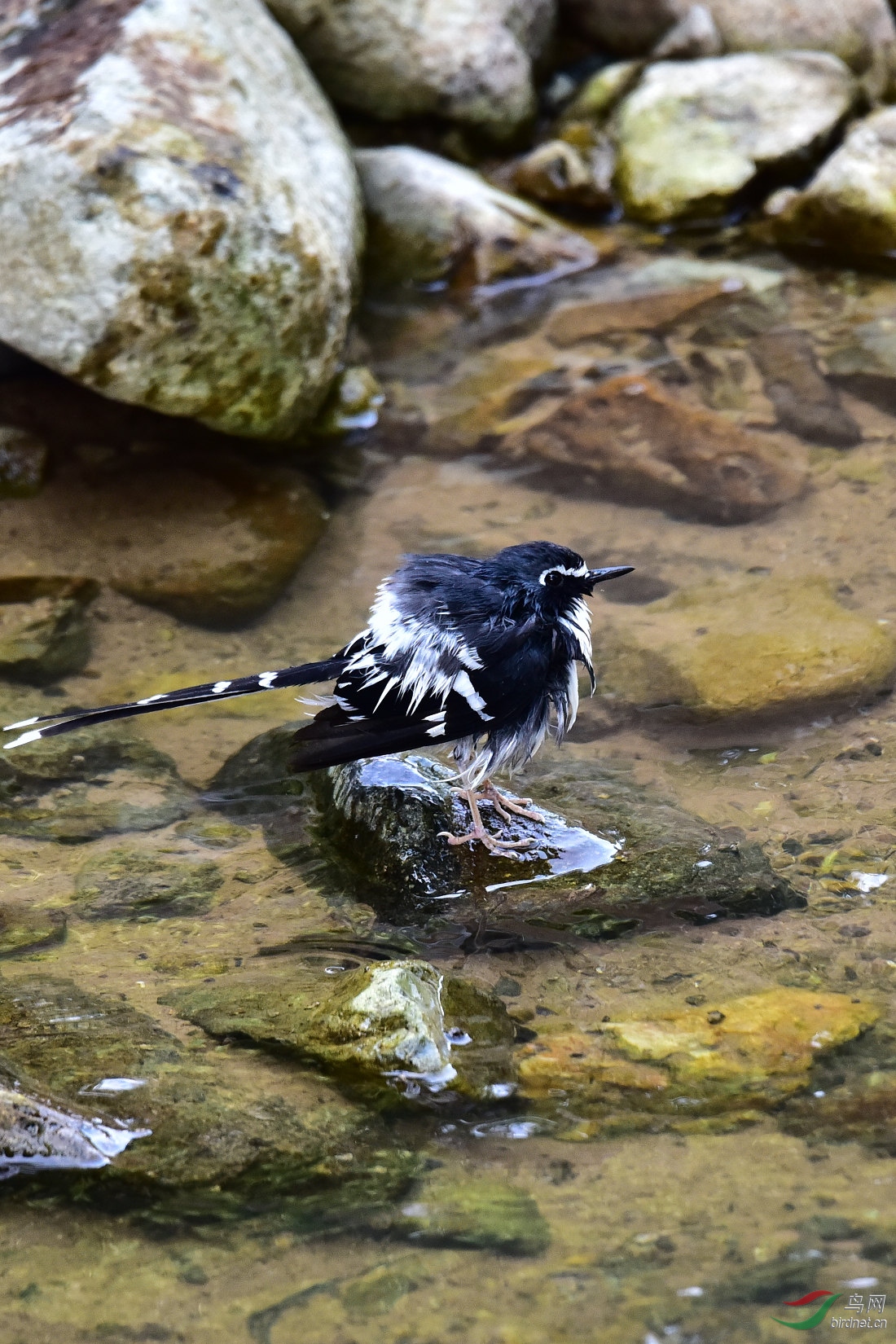 DSC_1026.JPG