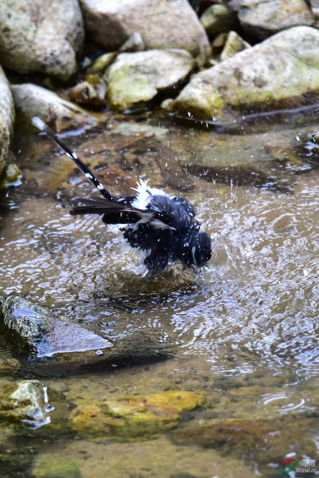 DSC_1029.JPG
