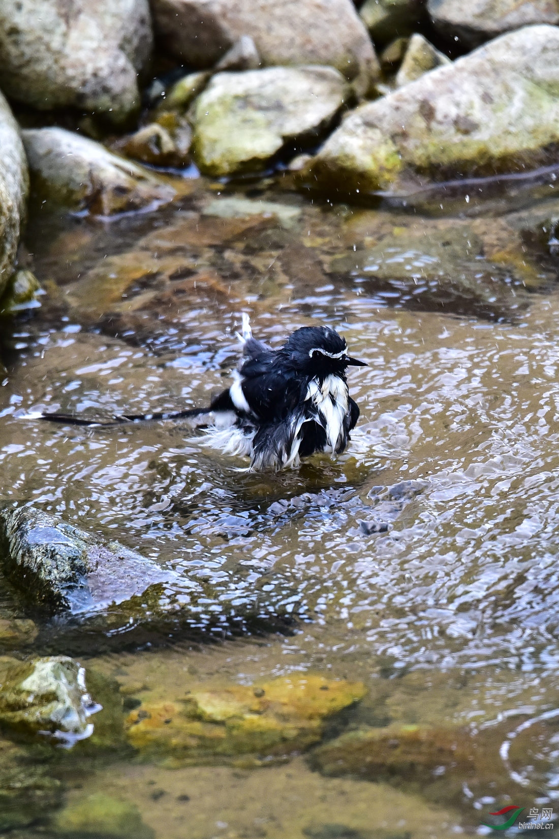 DSC_1030.JPG