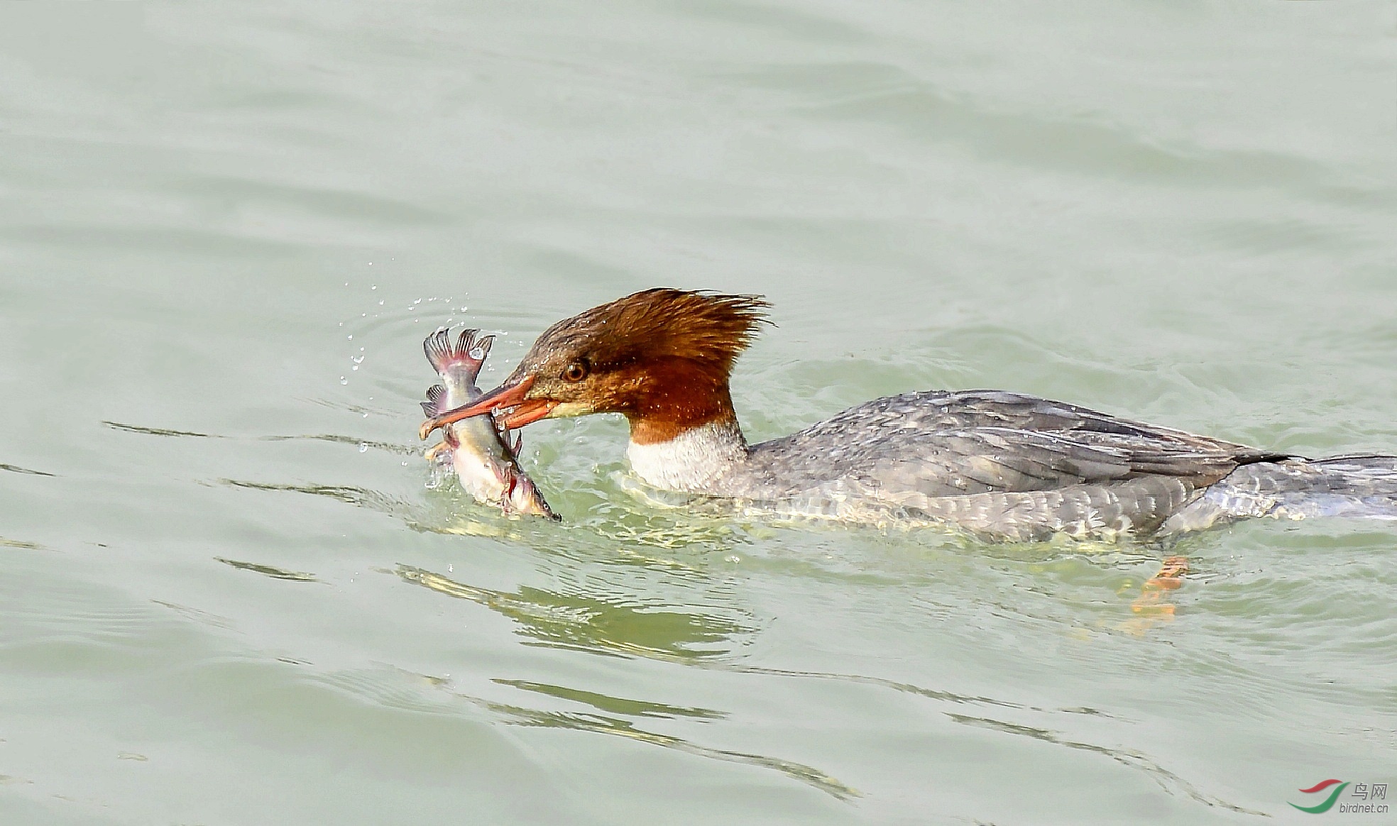 DSC_8907.jpg