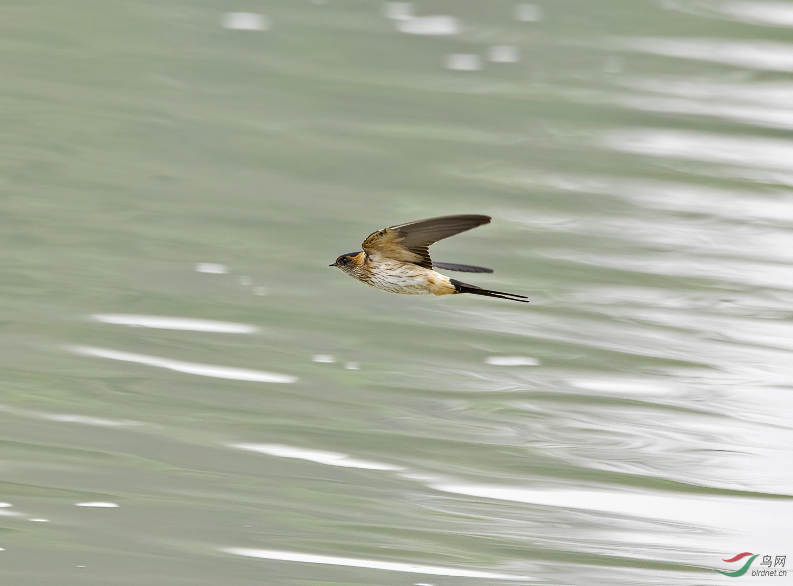 DSC_3277.jpg