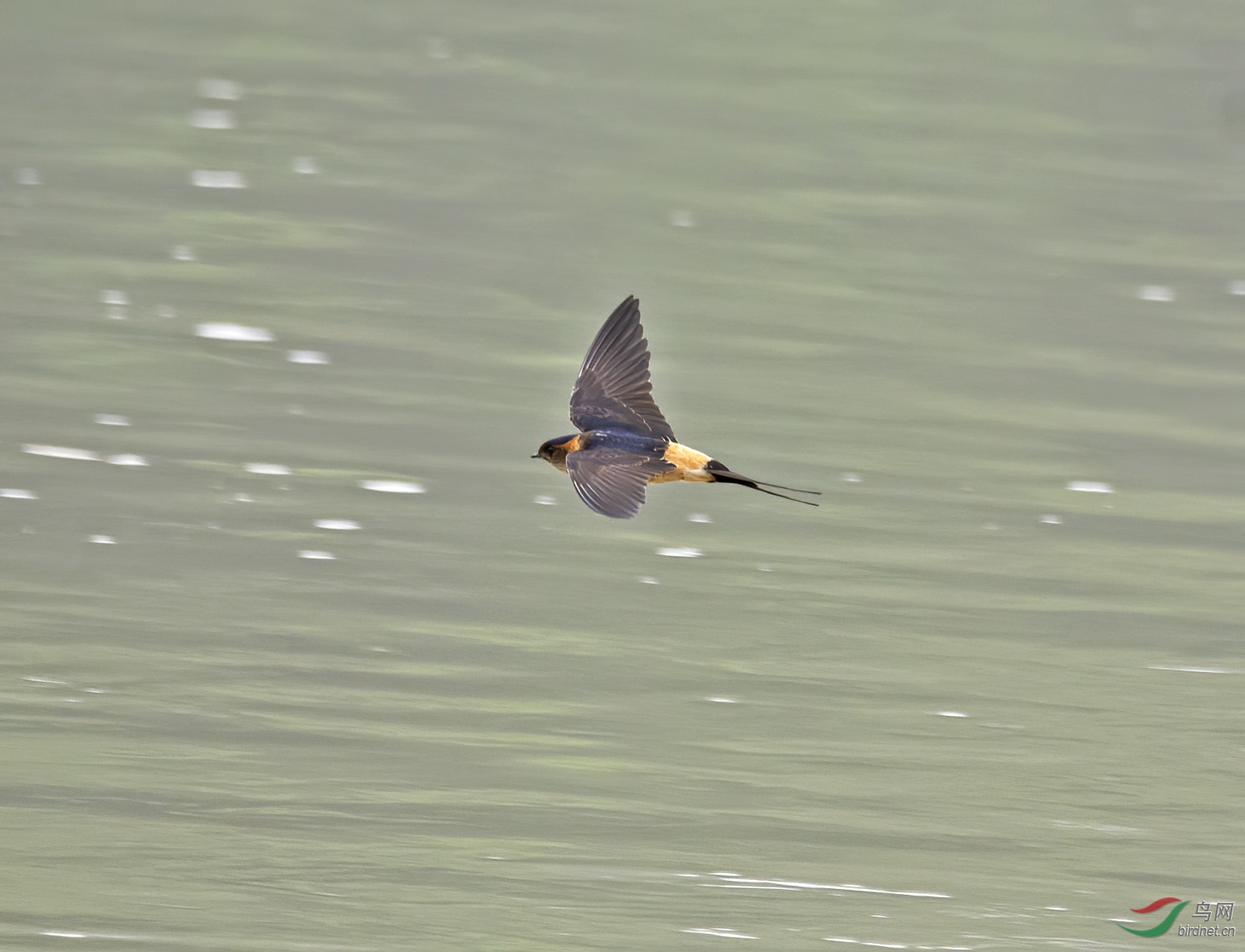 DSC_3265.jpg