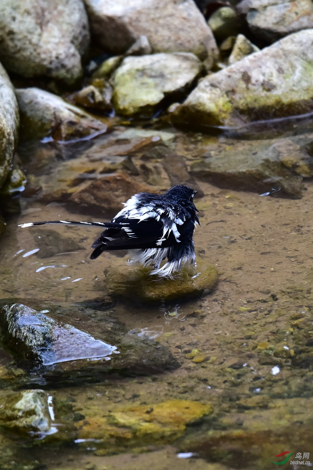 DSC_1031.JPG