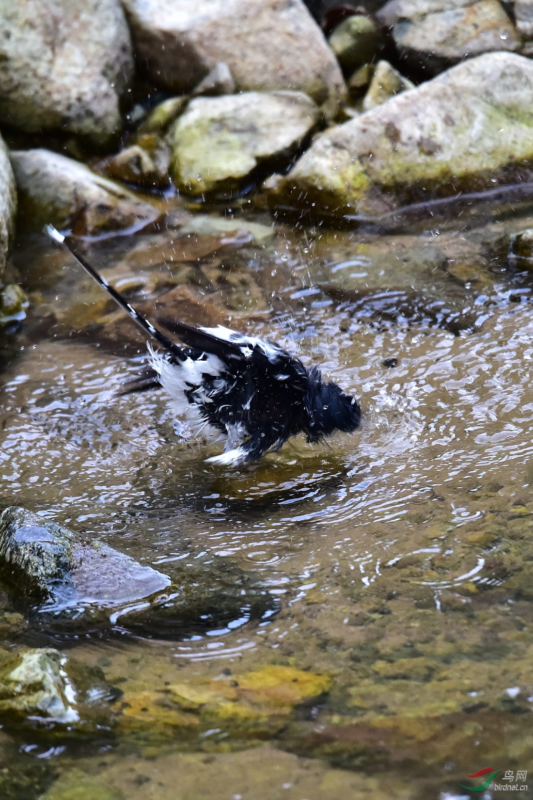 DSC_1033.JPG