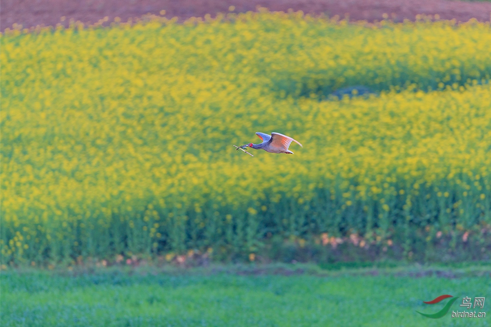CL9I6144-1.jpg