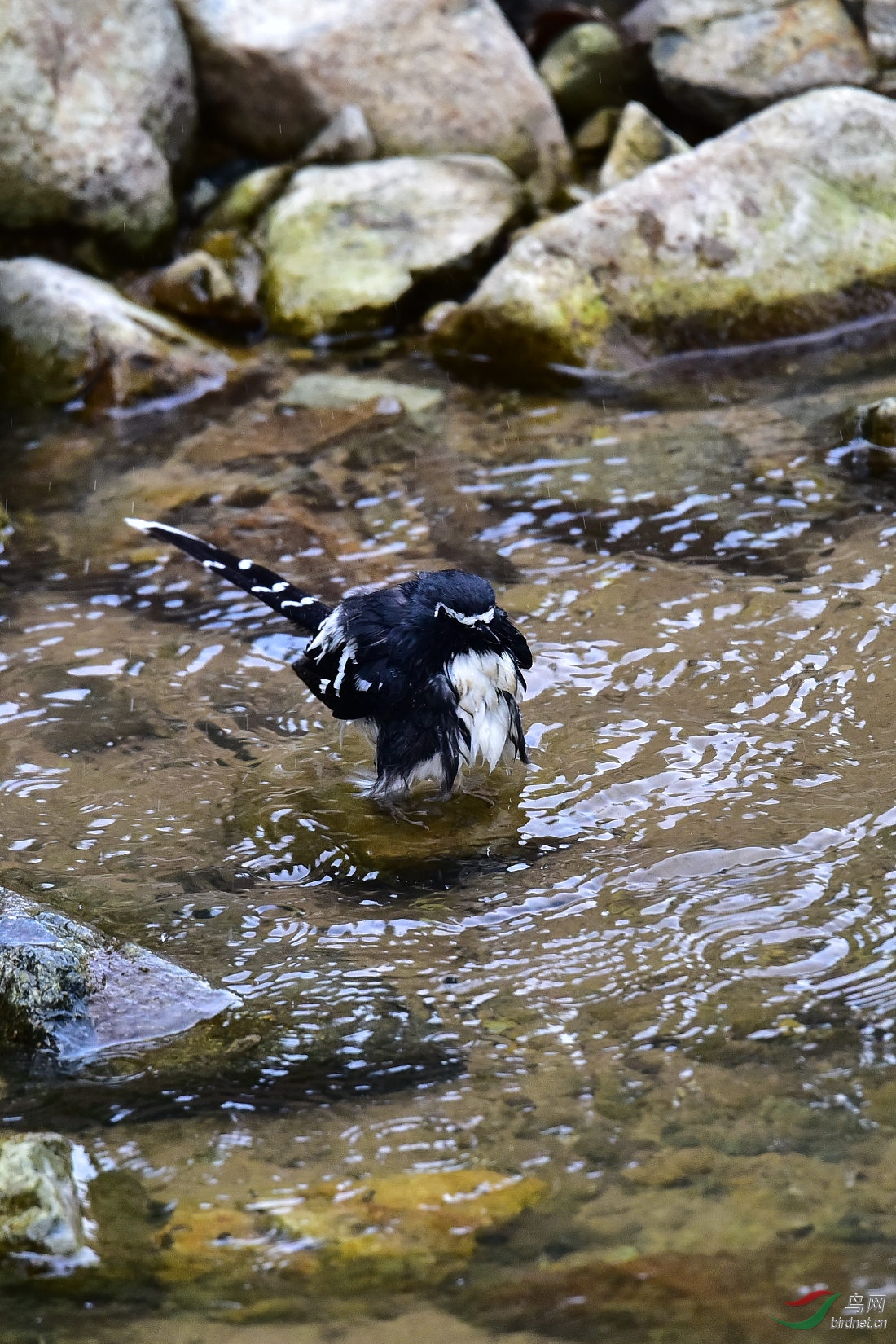 DSC_1035.JPG