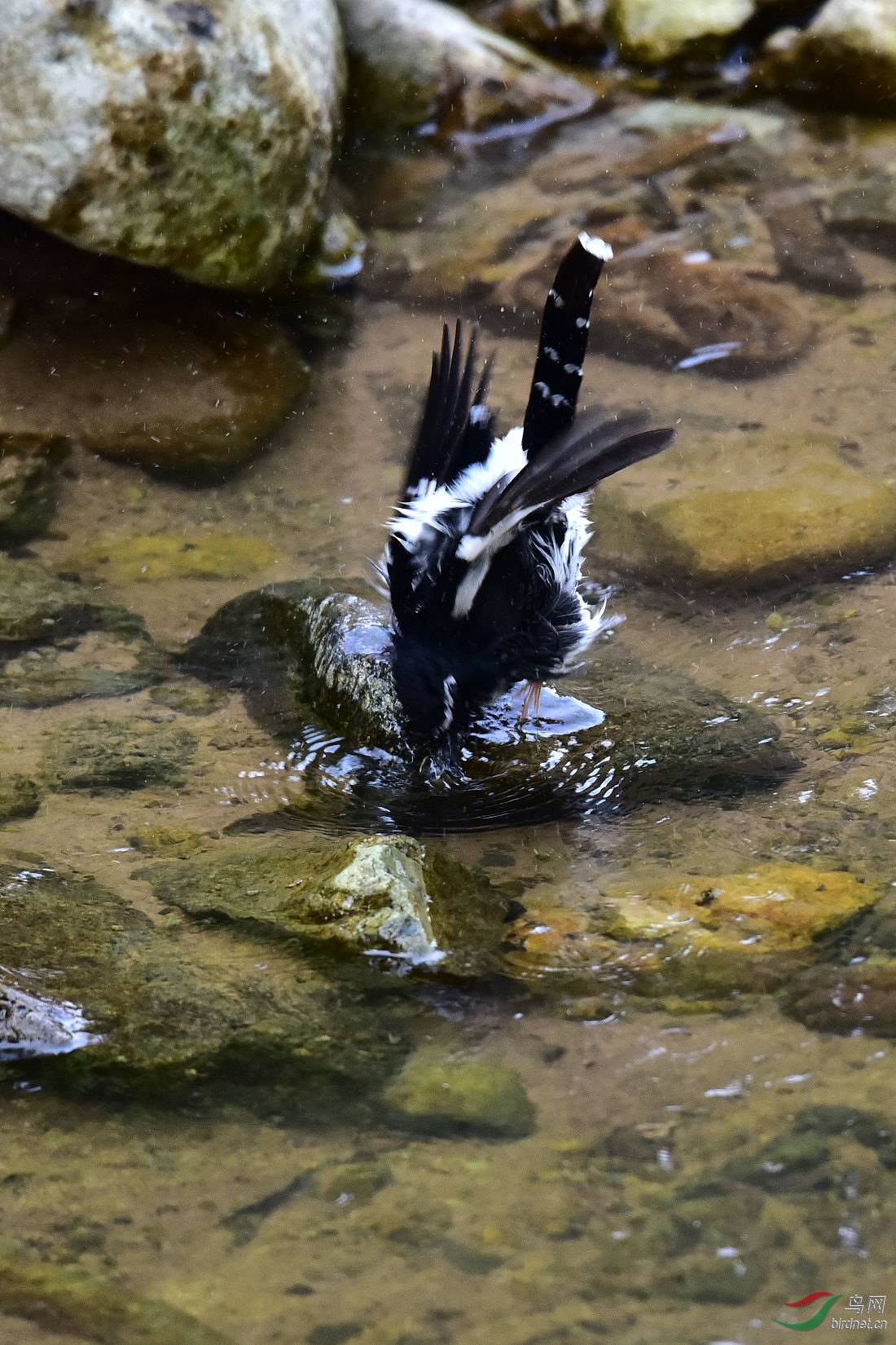 DSC_1037.JPG