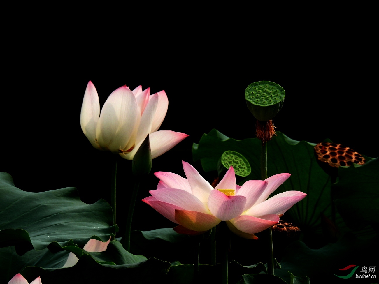 DSCN5987.JPG