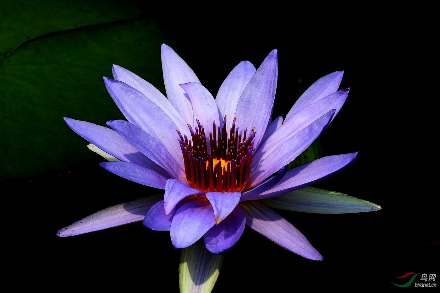 DSCN5808.JPG