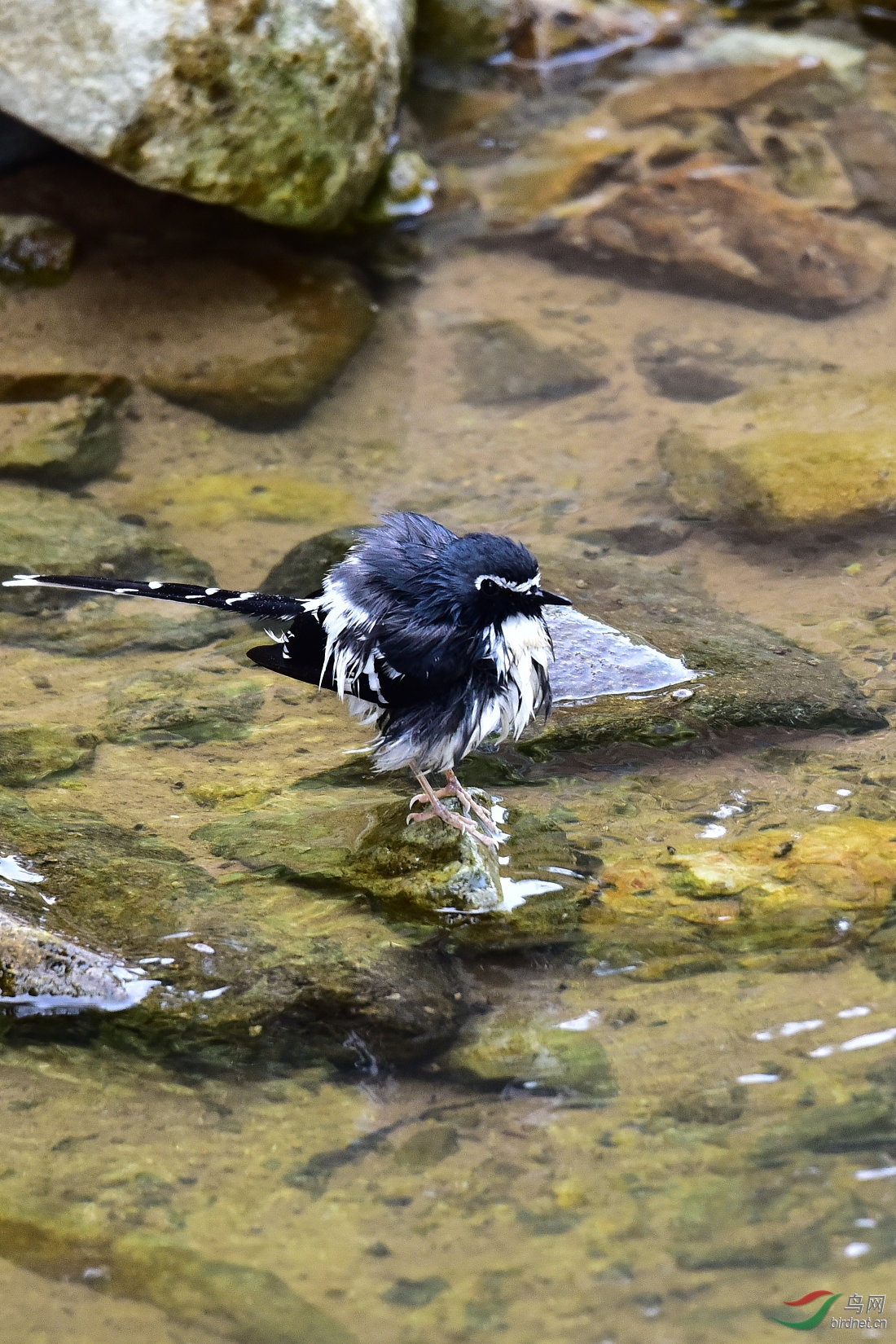 DSC_1040.JPG