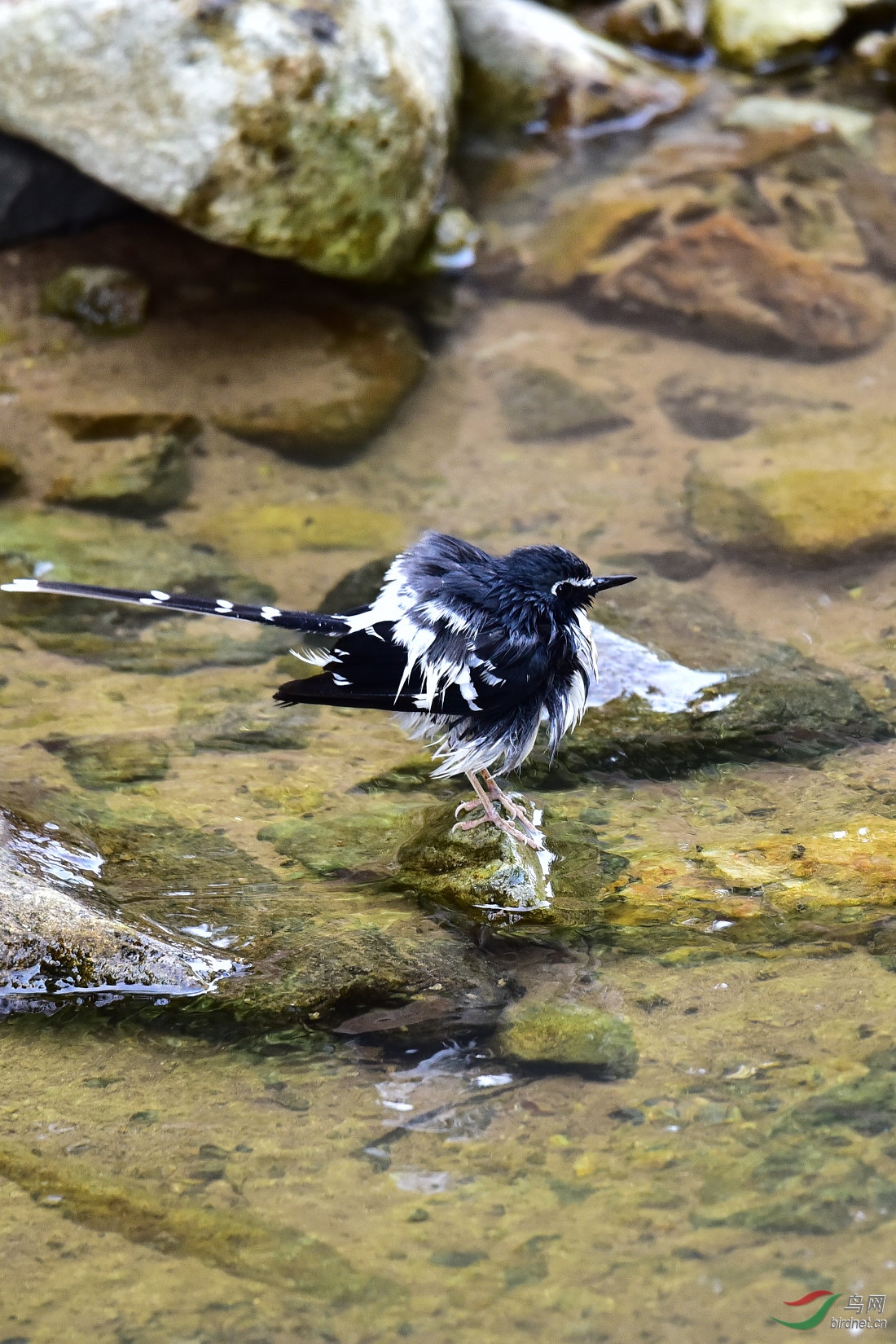 DSC_1041.JPG