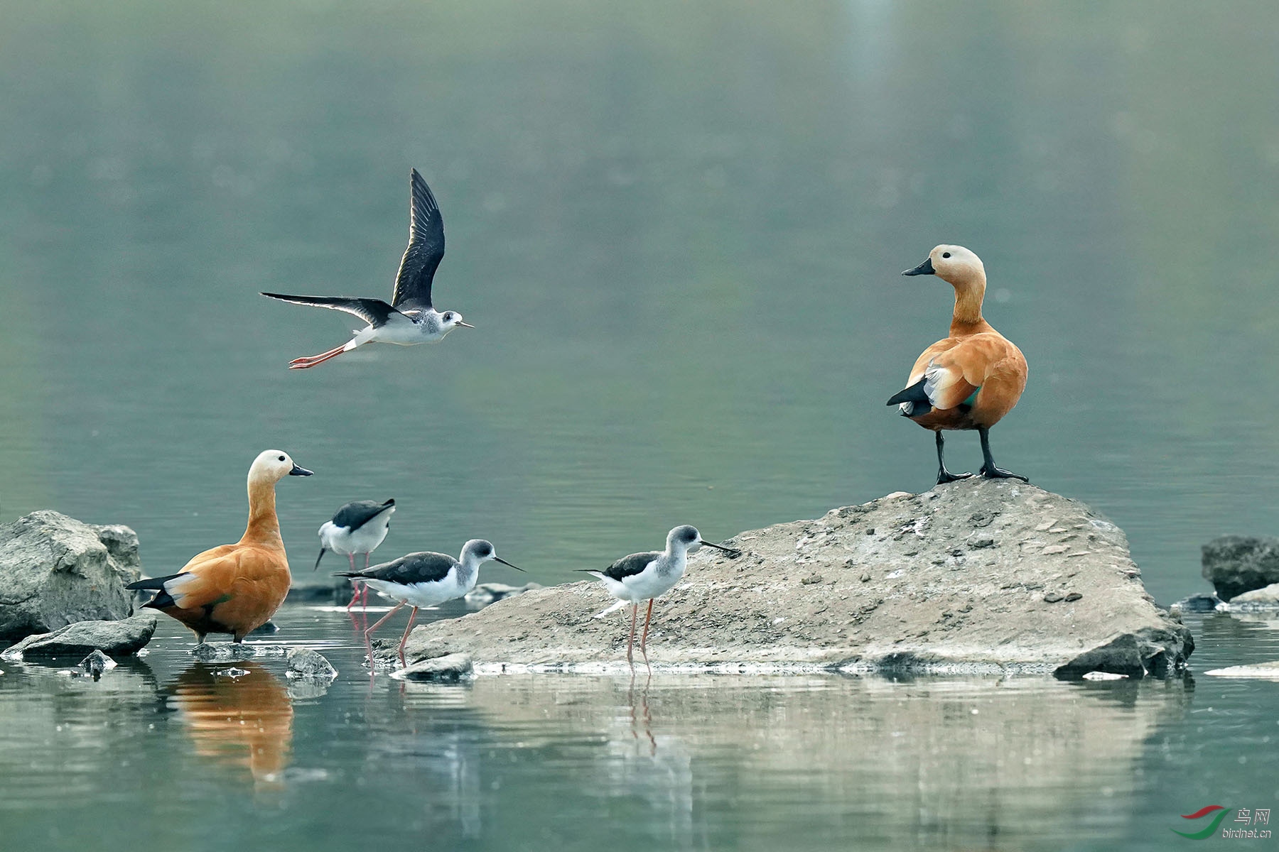 《和谐小天地》