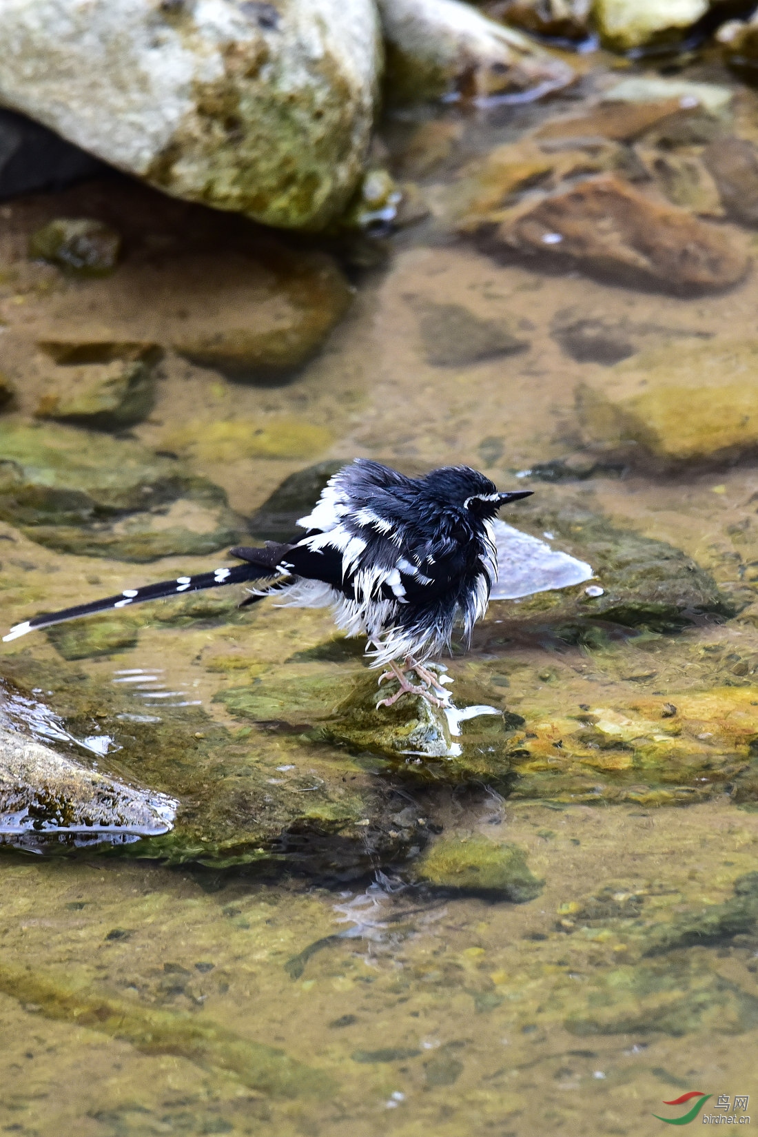 DSC_1043.JPG