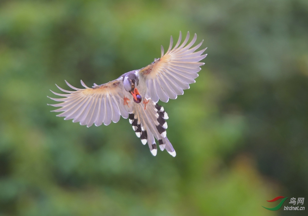 DSC_0542.jpg