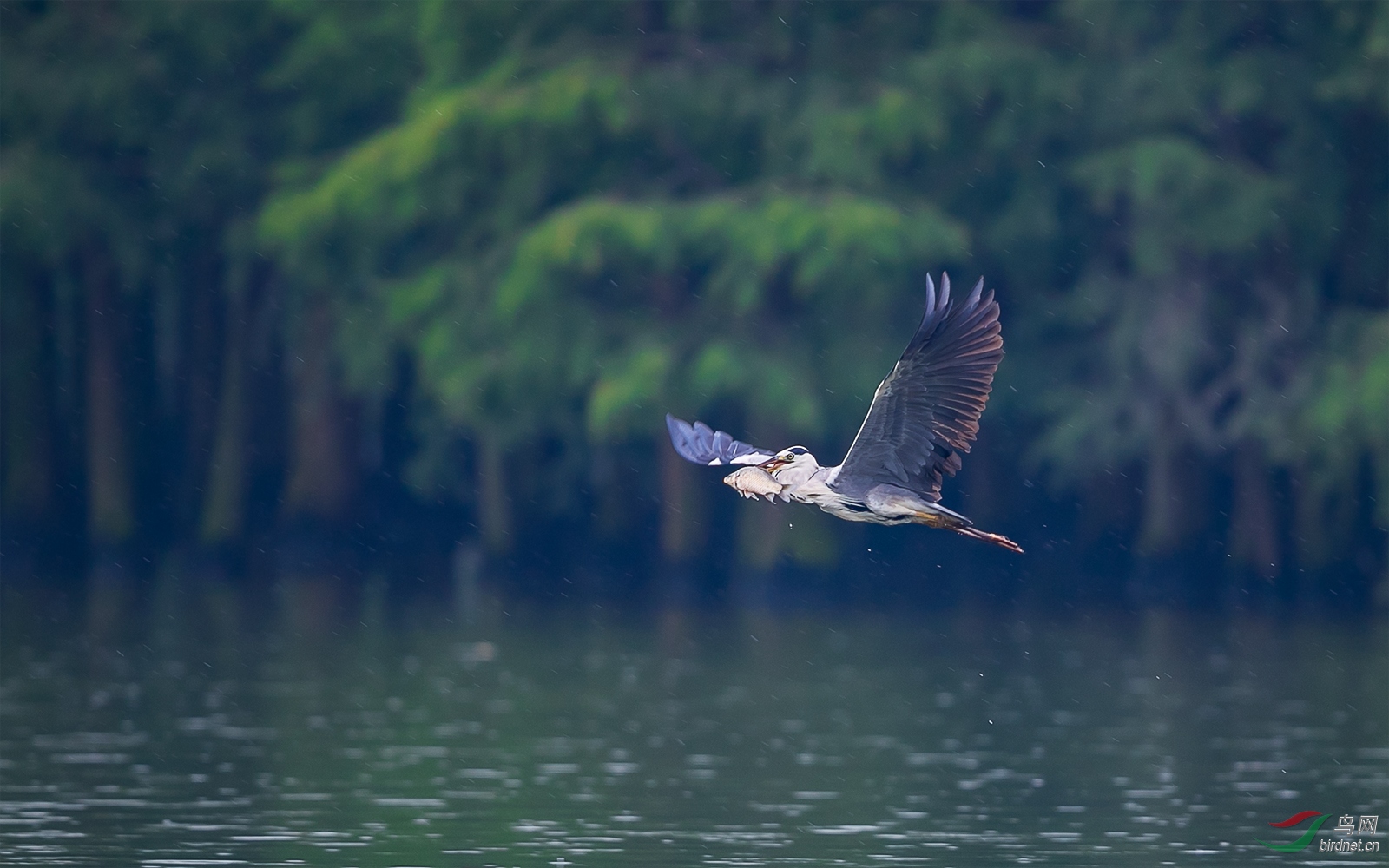1DX_3230-1.jpg
