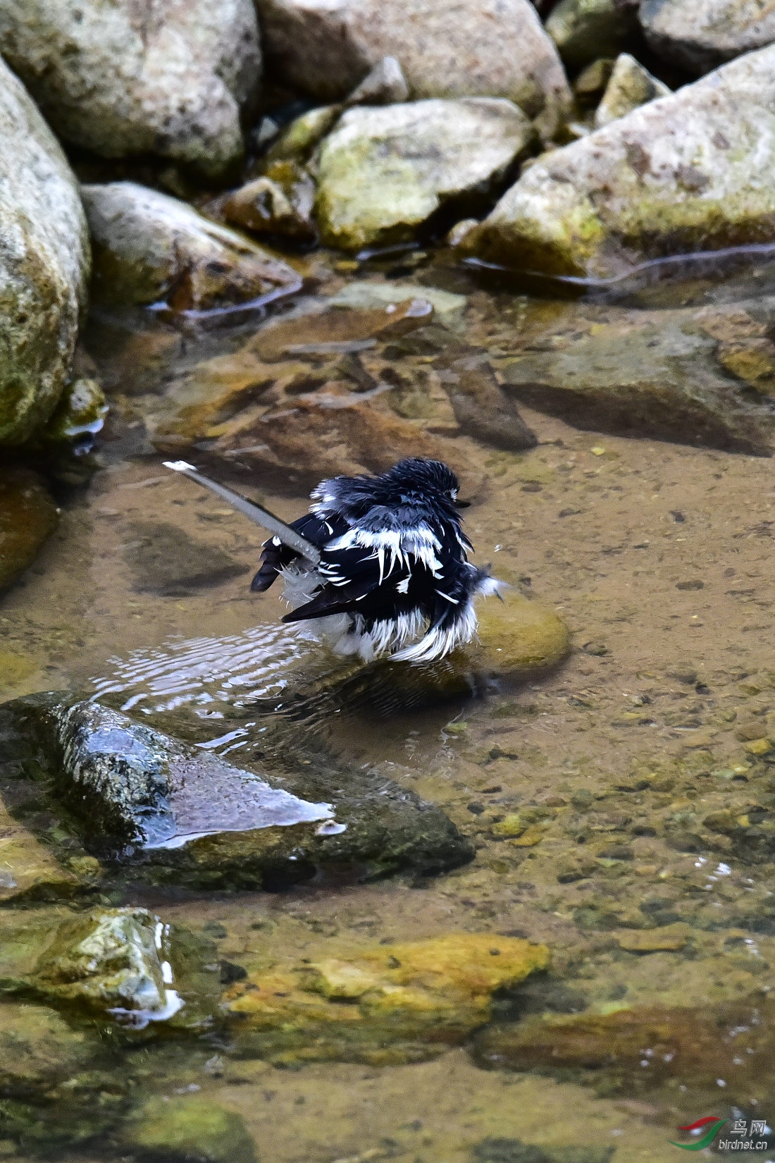 DSC_1048.JPG