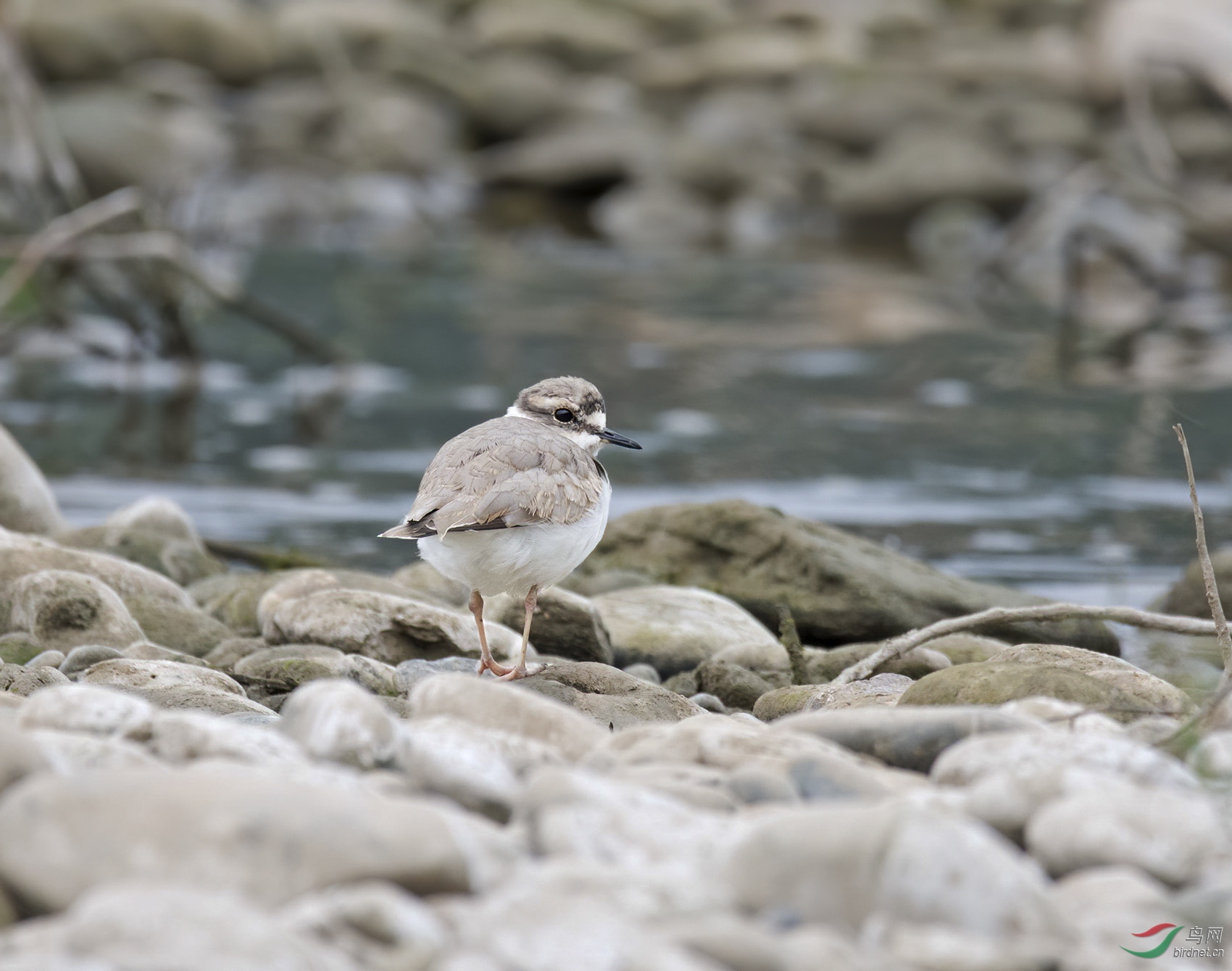 _SC_0685-denoise-denoise-1.jpg